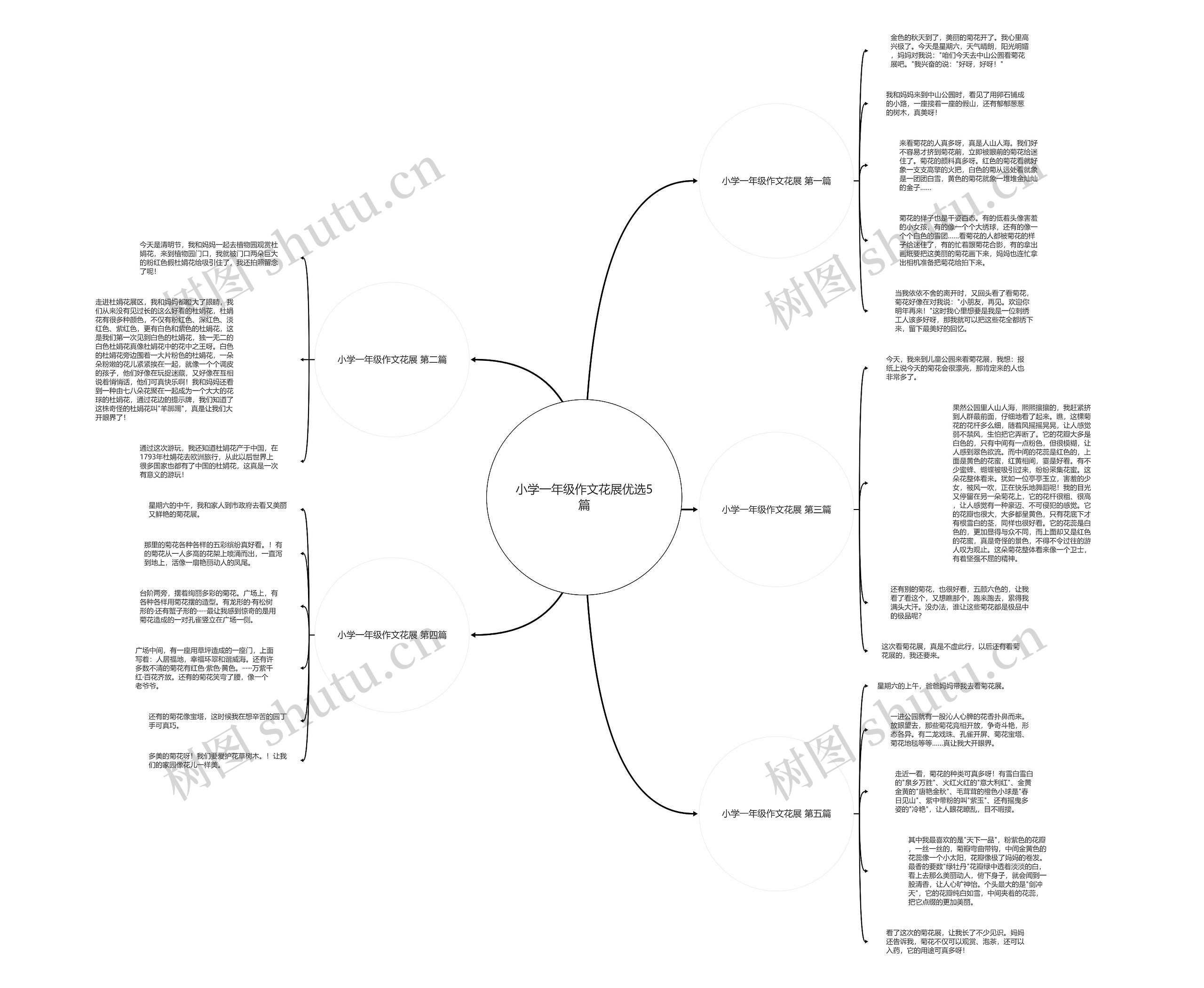 小学一年级作文花展优选5篇思维导图