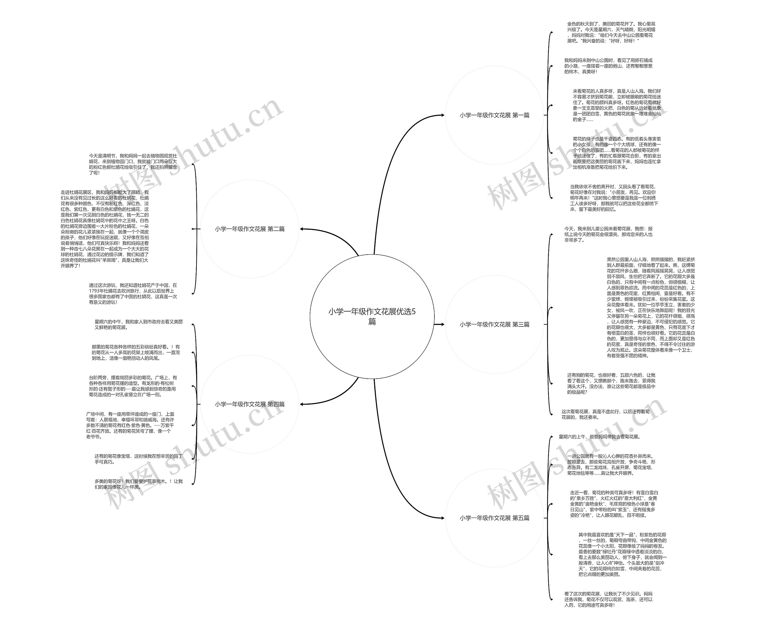 小学一年级作文花展优选5篇 小学一年级作文花展优选5篇