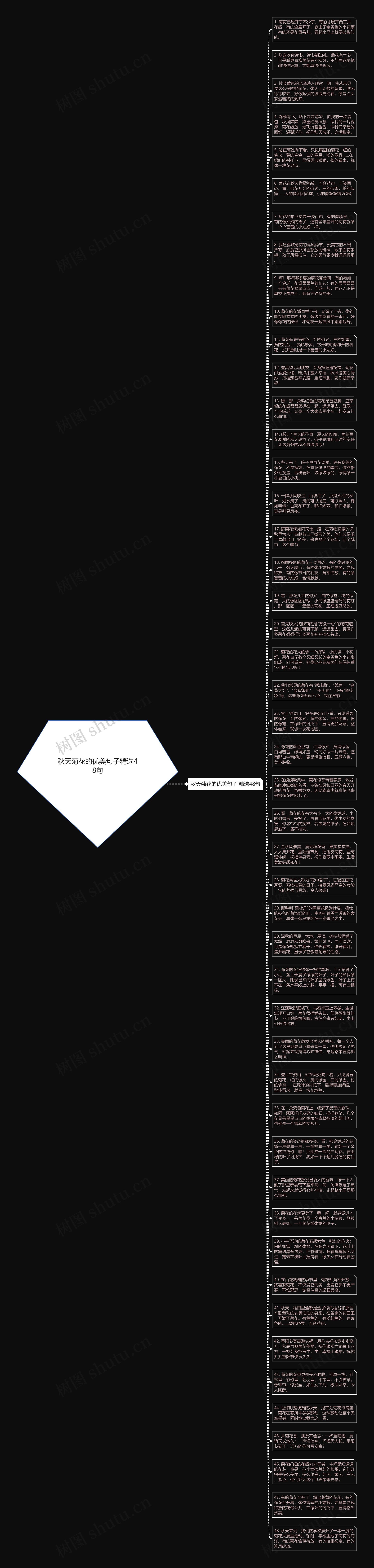 秋天菊花的优美句子精选48句思维导图