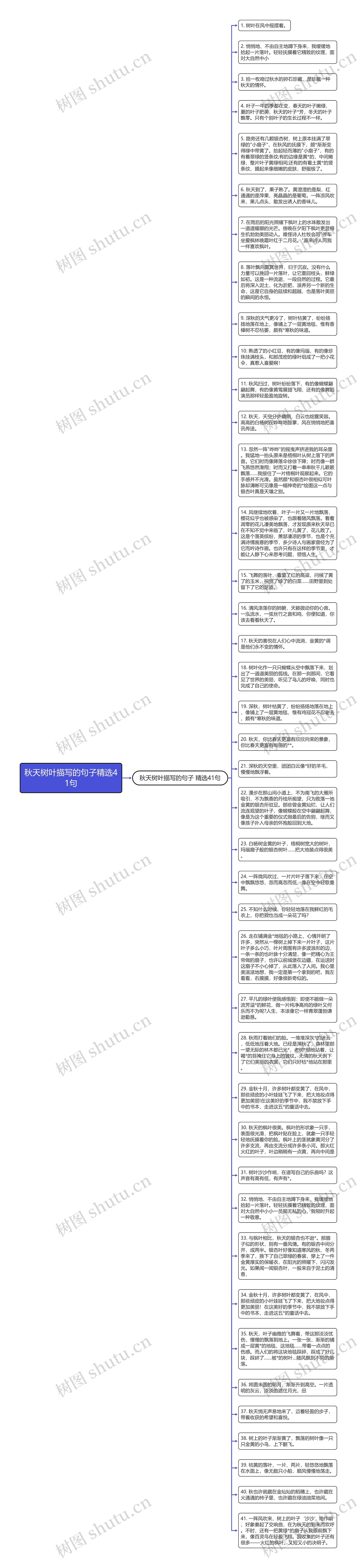 秋天树叶描写的句子精选41句思维导图