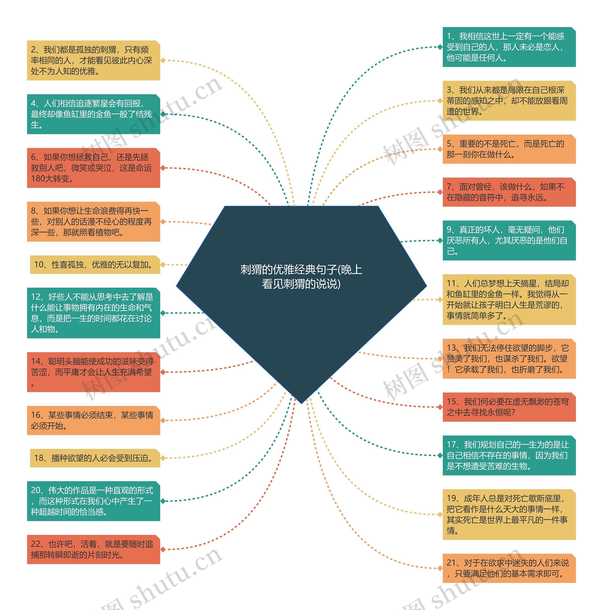 刺猬的优雅经典句子(晚上看见刺猬的说说)思维导图