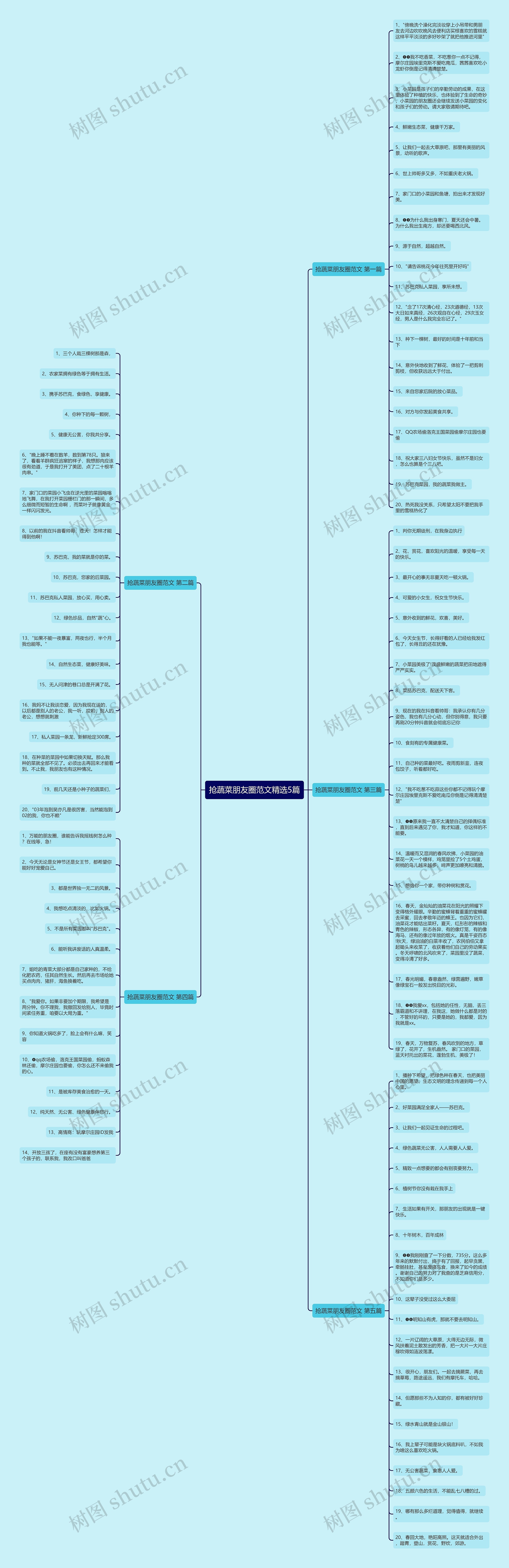 抢蔬菜朋友圈范文精选5篇思维导图