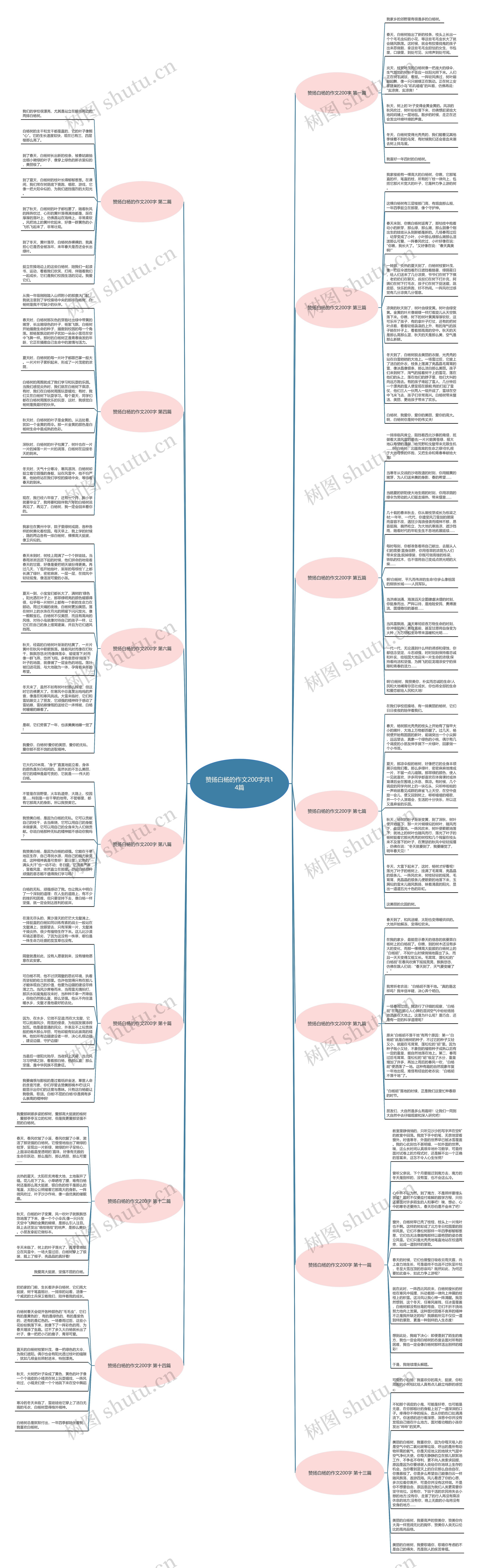 赞扬白杨的作文200字共14篇思维导图