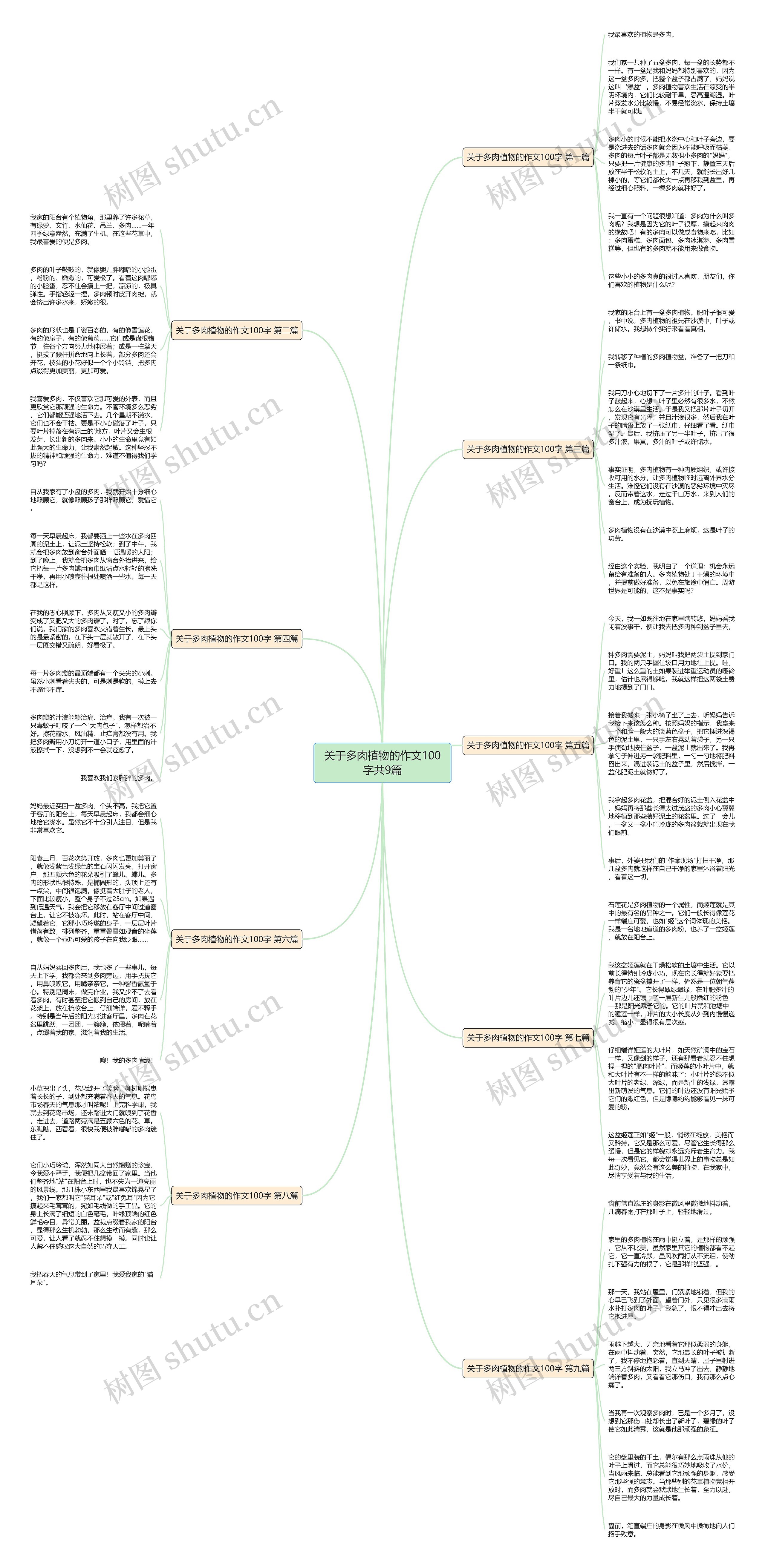 关于多肉植物的作文100字共9篇思维导图