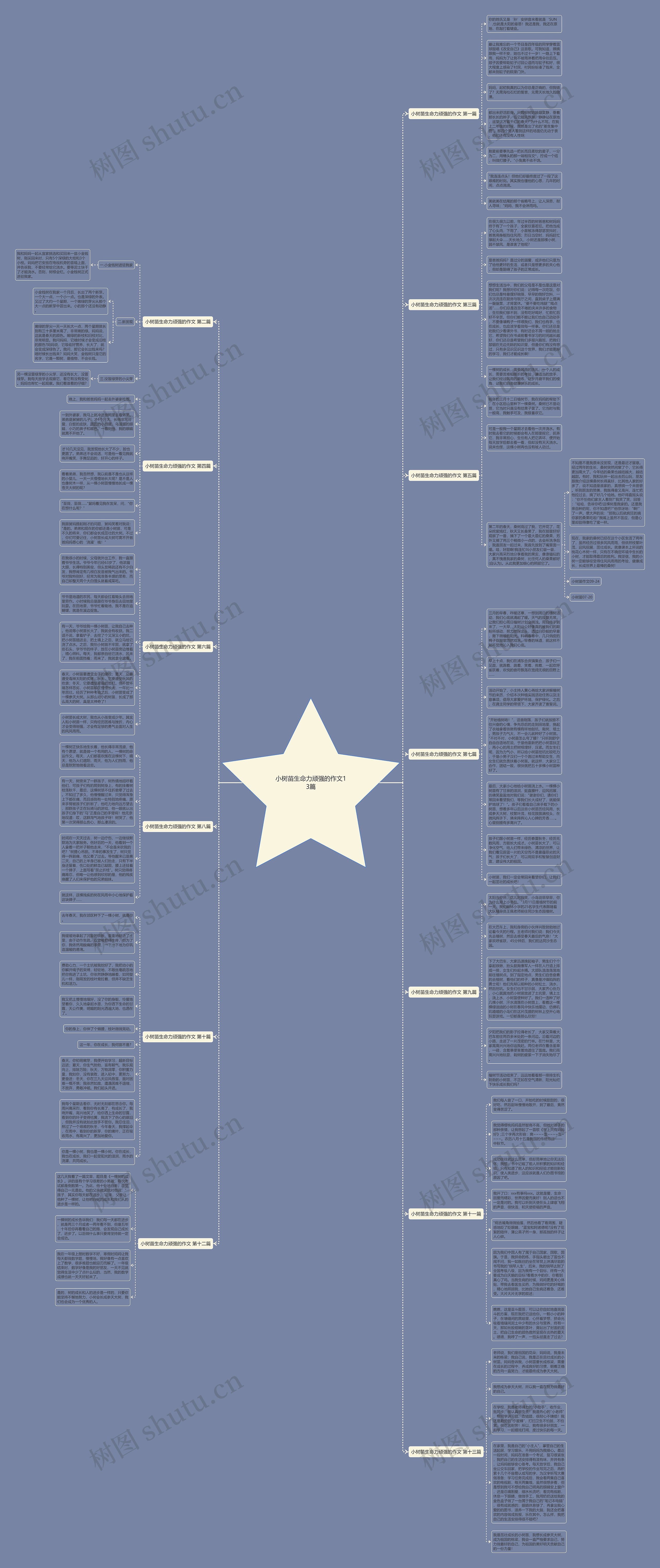 小树苗生命力顽强的作文13篇思维导图