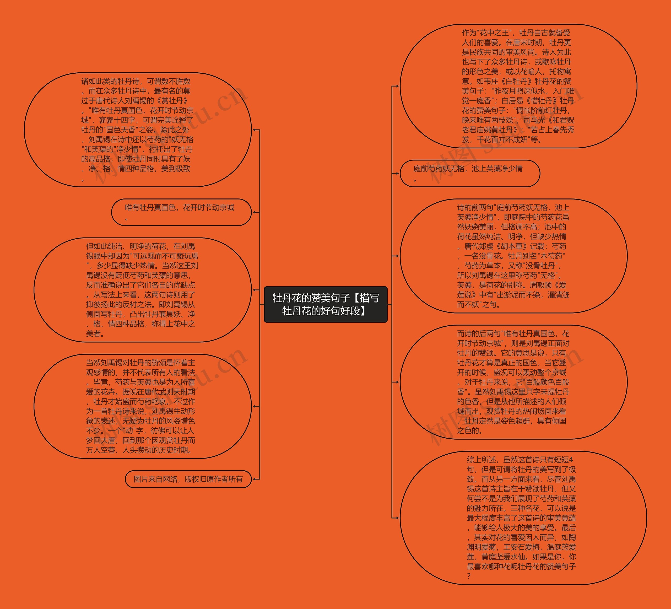 牡丹花的赞美句子【描写牡丹花的好句好段】思维导图