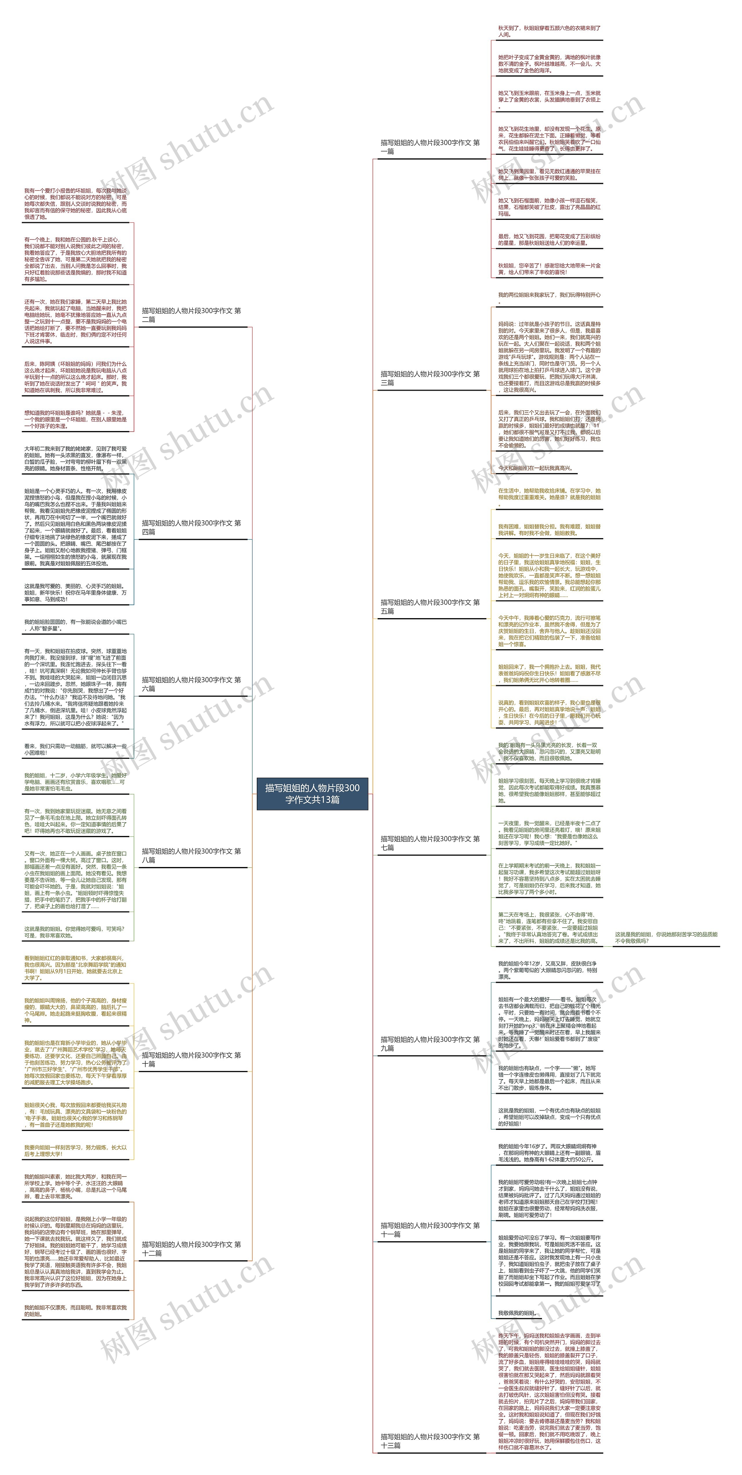 描写姐姐的人物片段300字作文共13篇思维导图