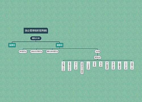 《国企管理组织架构图》