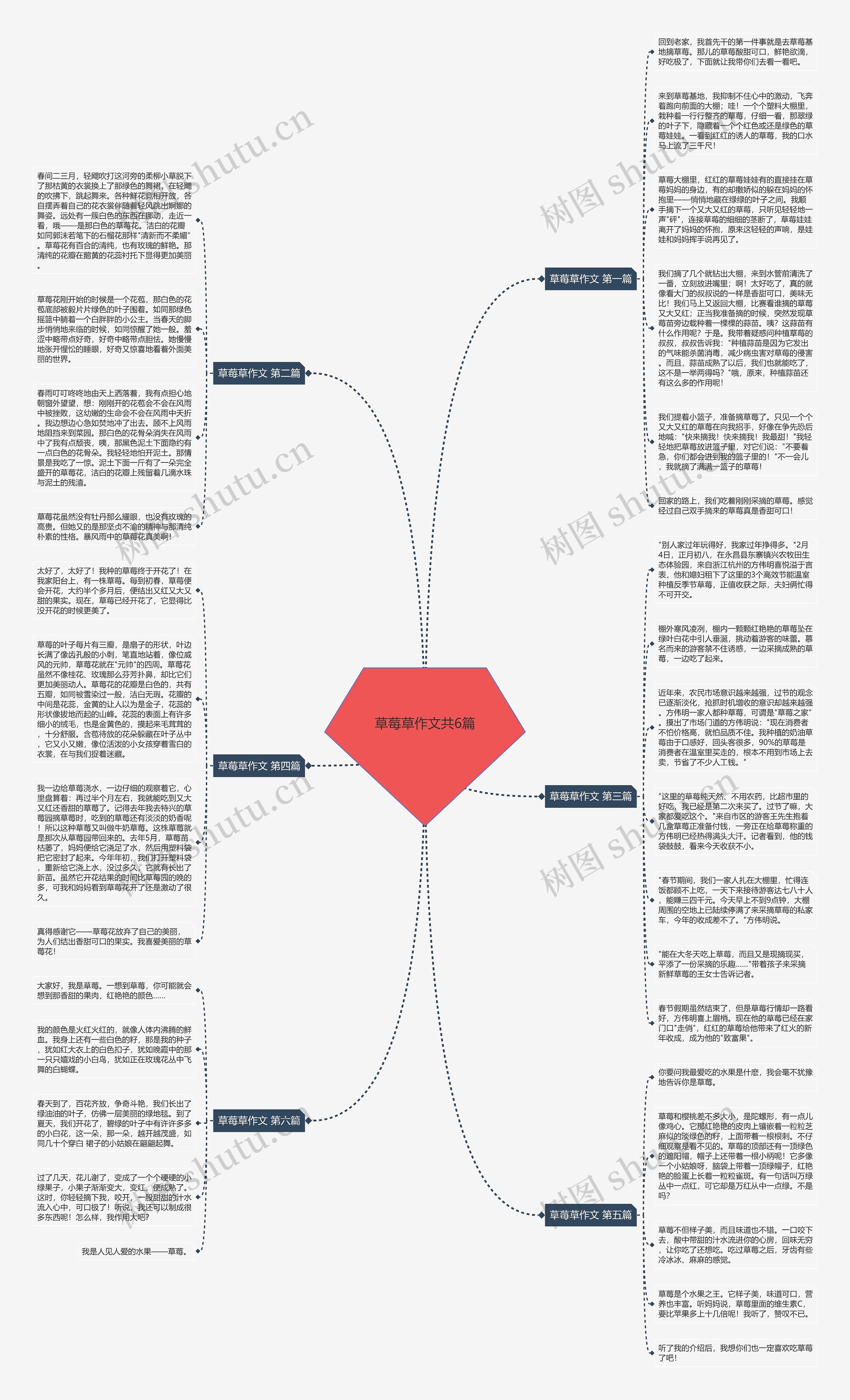 草莓草作文共6篇思维导图