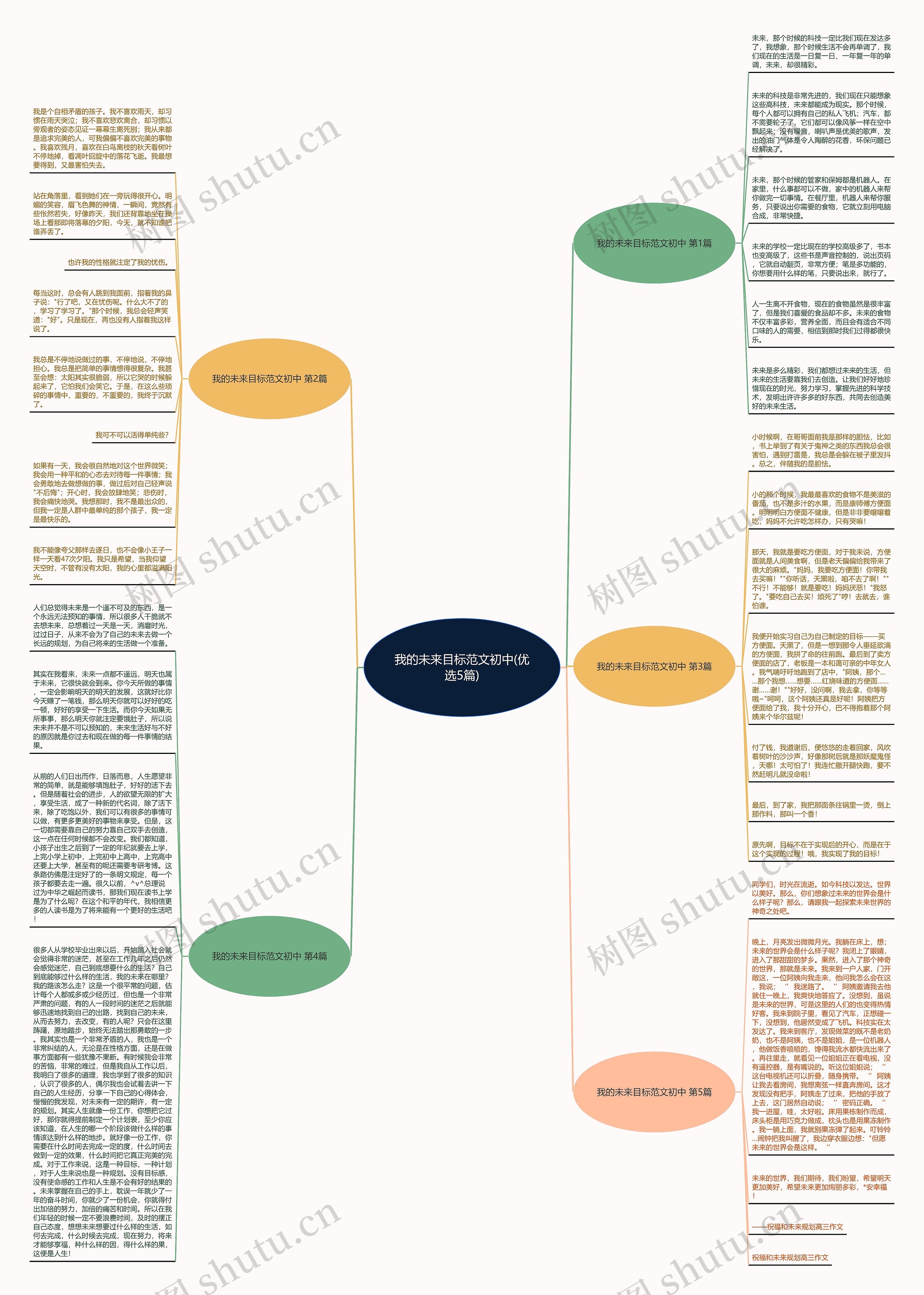 我的未来目标范文初中(优选5篇)思维导图