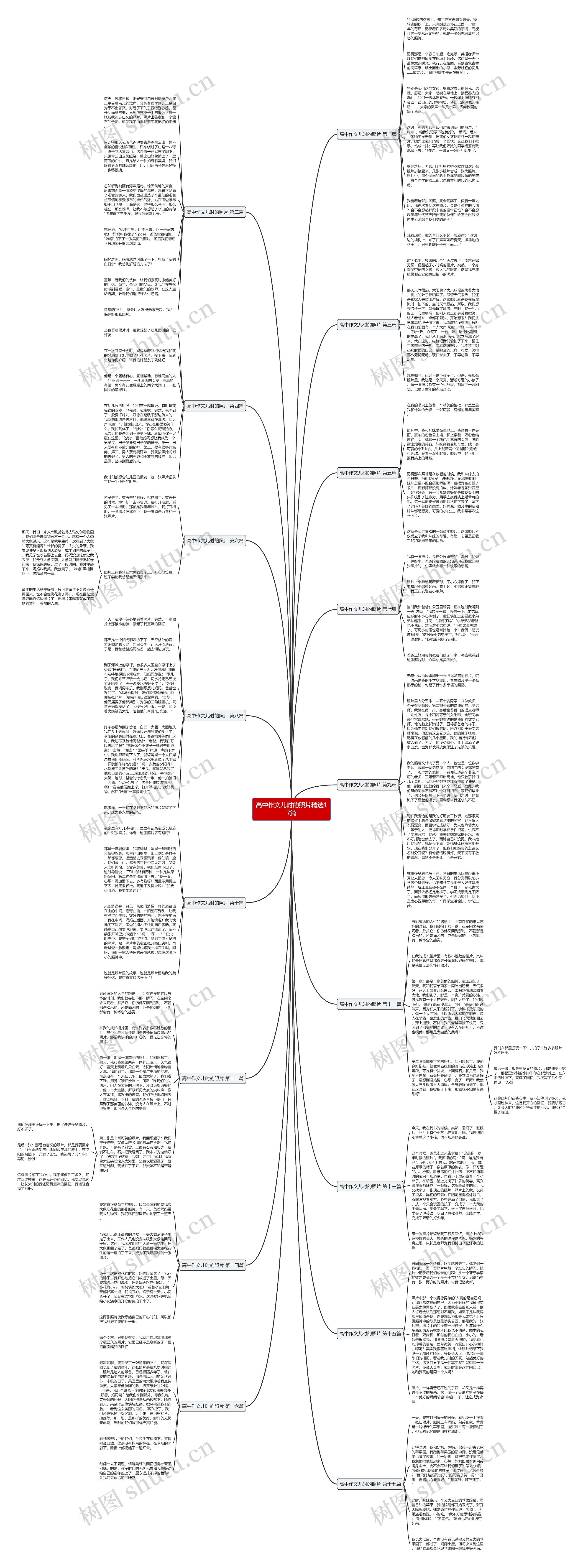 高中作文儿时的照片精选17篇思维导图