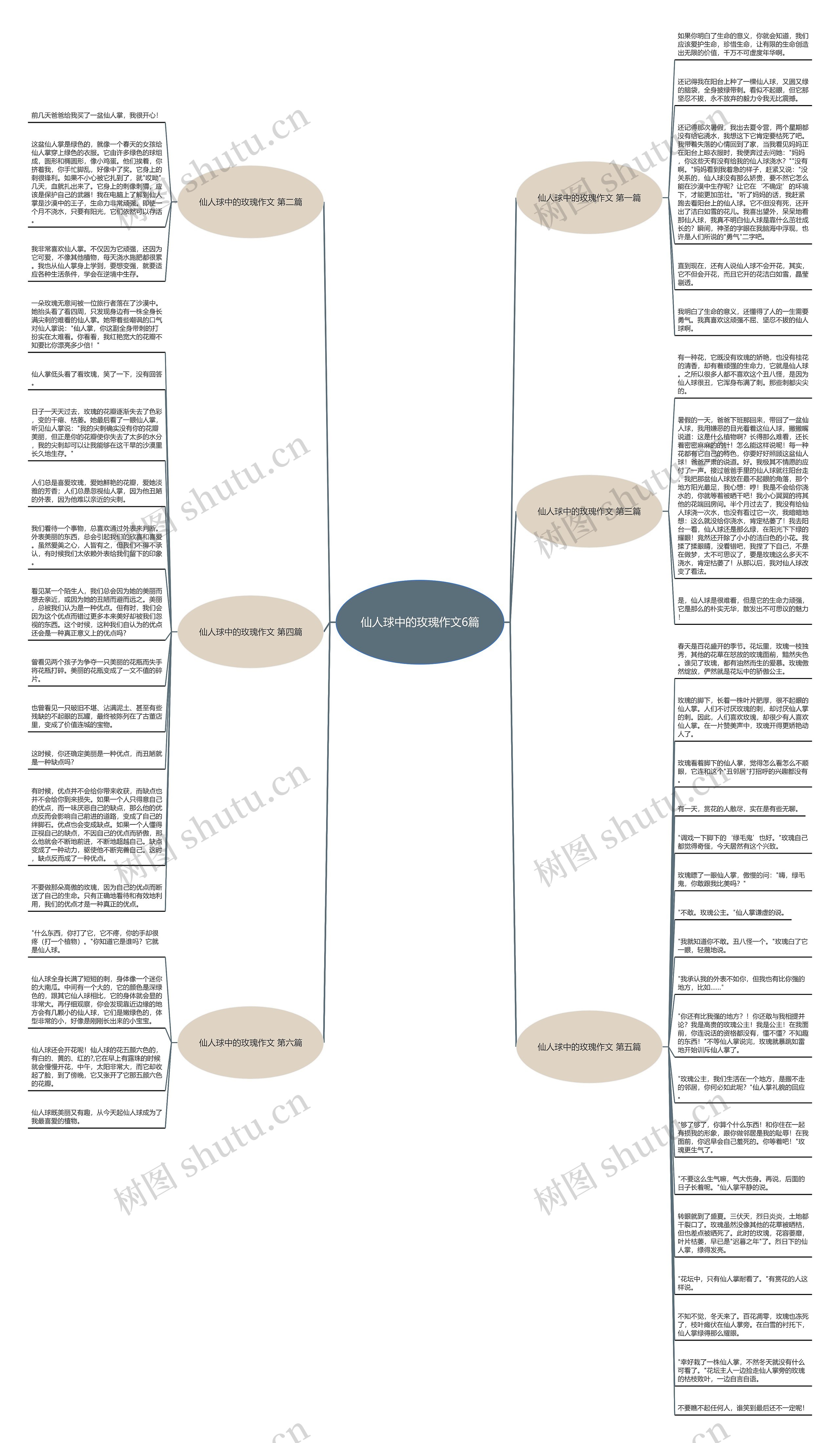 仙人球中的玫瑰作文6篇思维导图