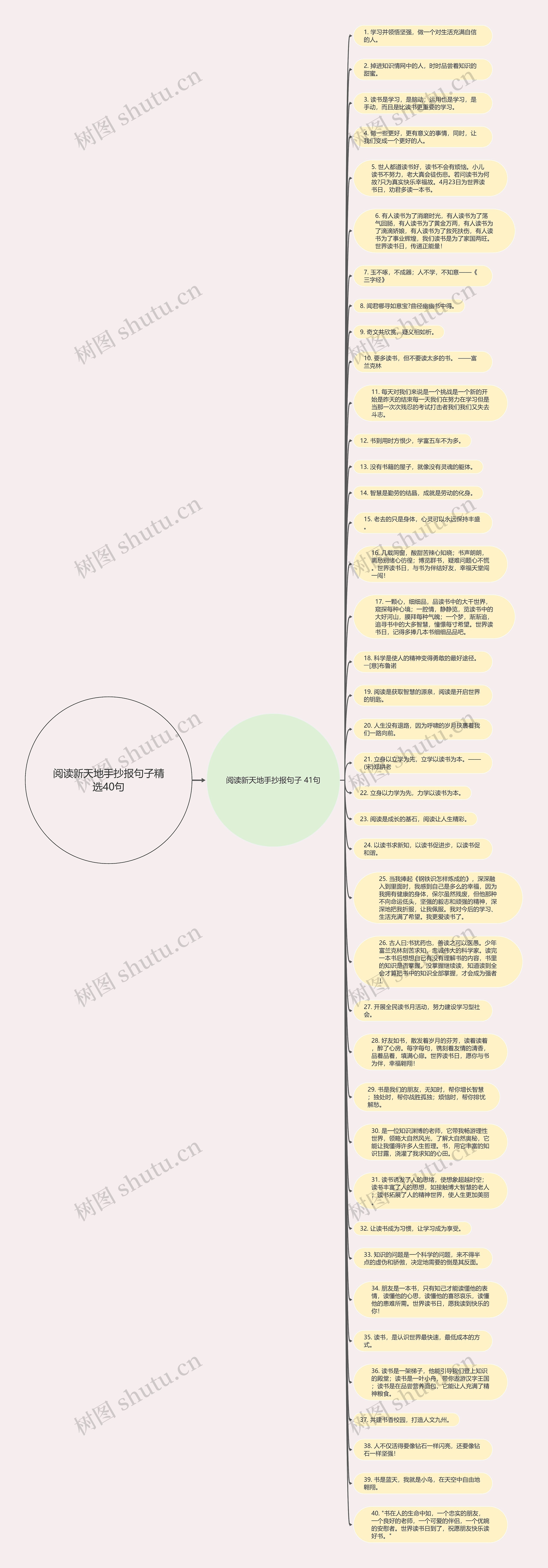 阅读新天地手抄报句子精选40句思维导图