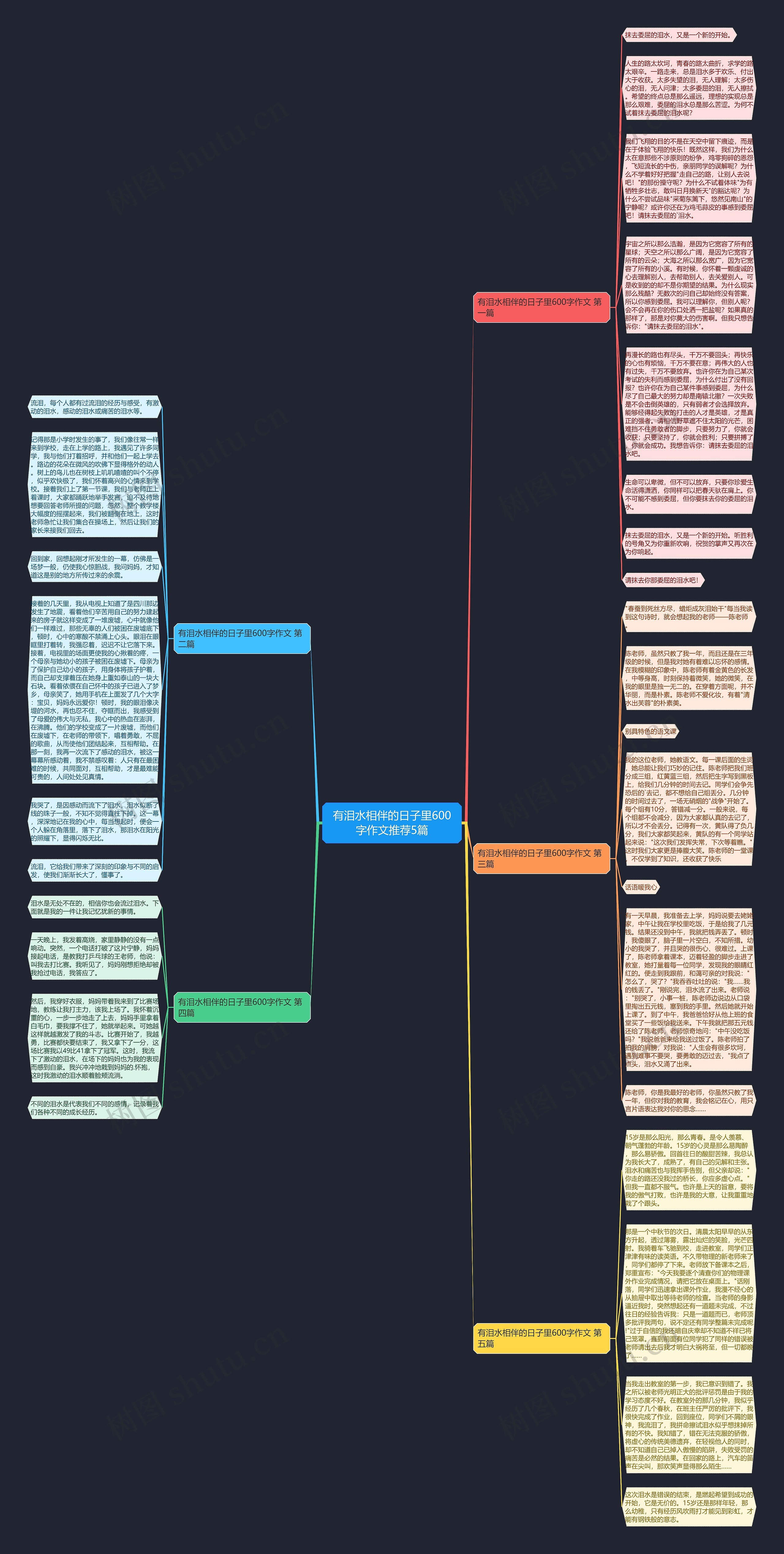 有泪水相伴的日子里600字作文推荐5篇思维导图