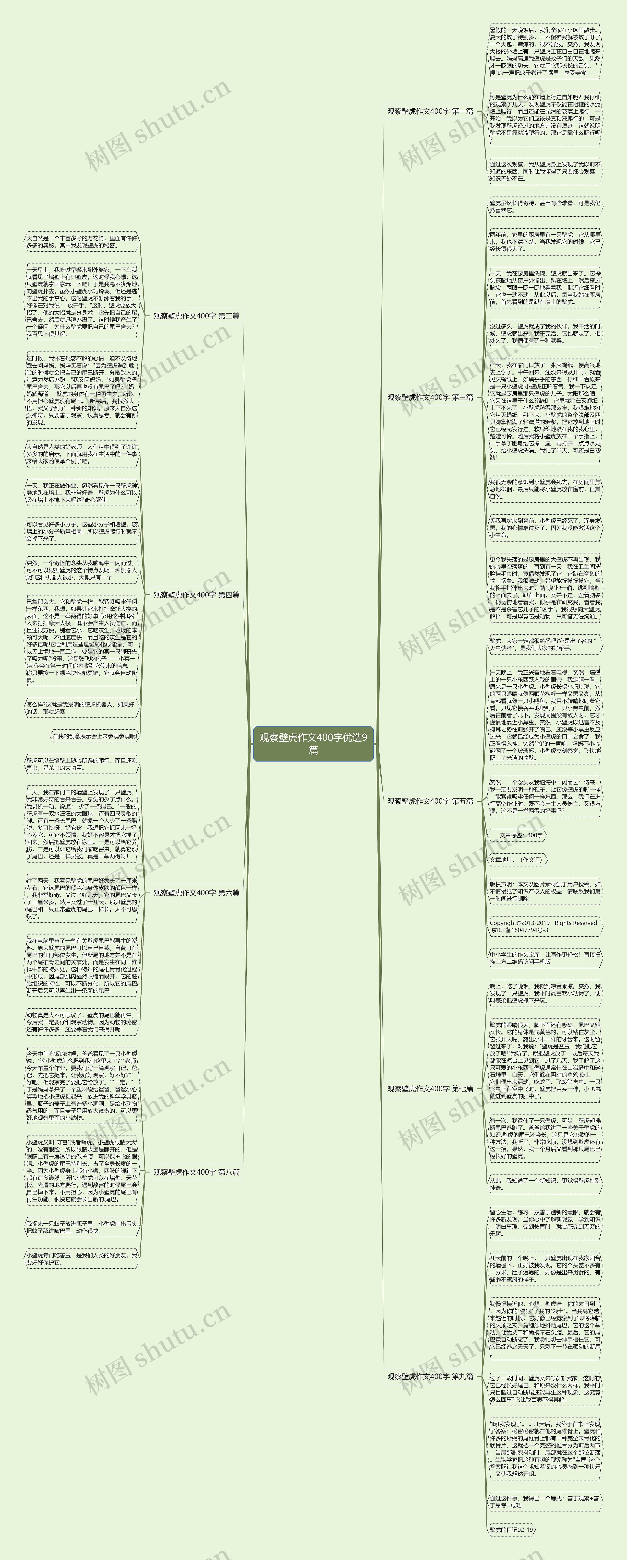 观察壁虎作文400字优选9篇思维导图