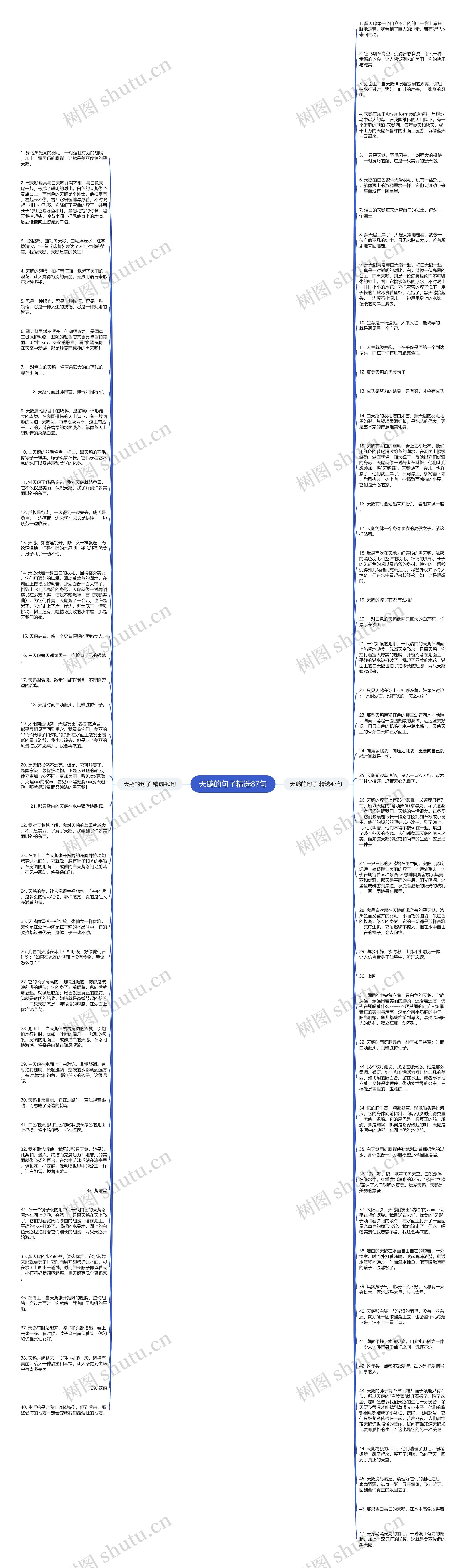 天鹅的句子精选87句思维导图