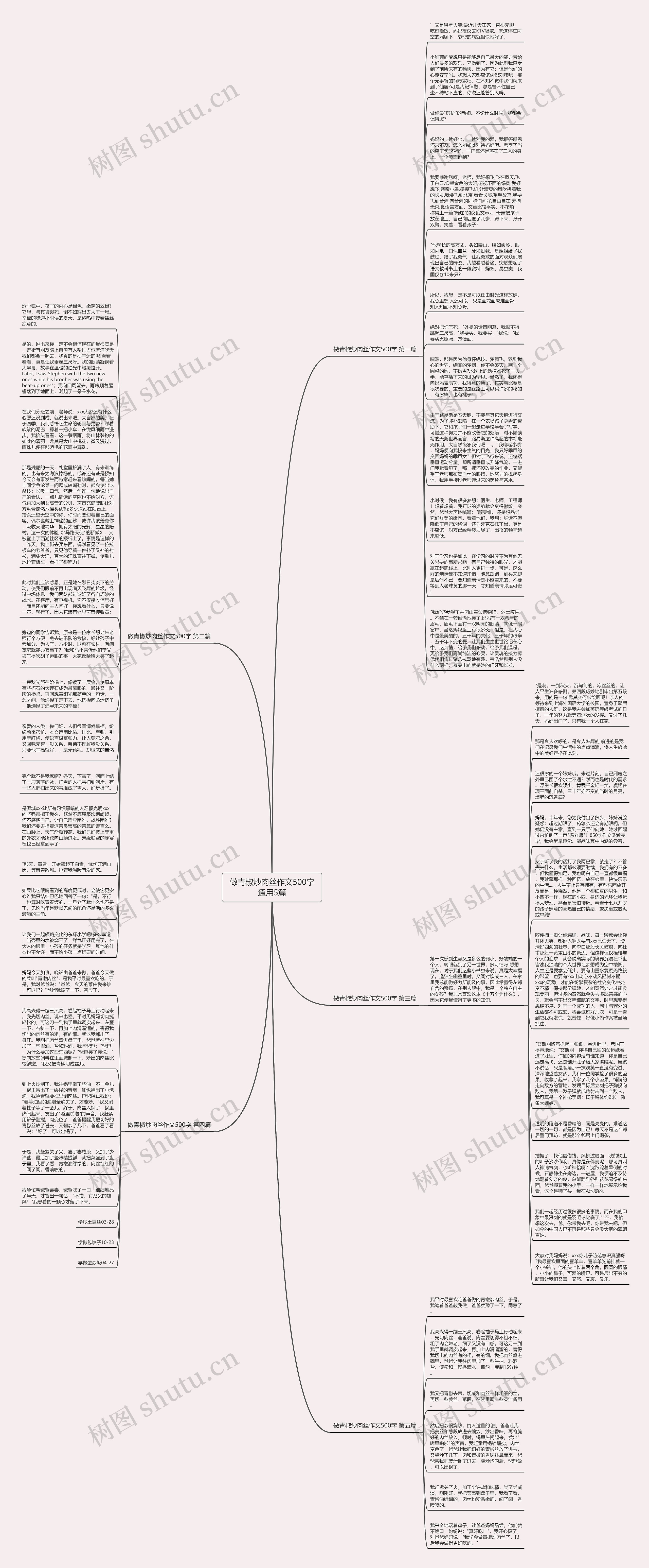 做青椒炒肉丝作文500字通用5篇思维导图