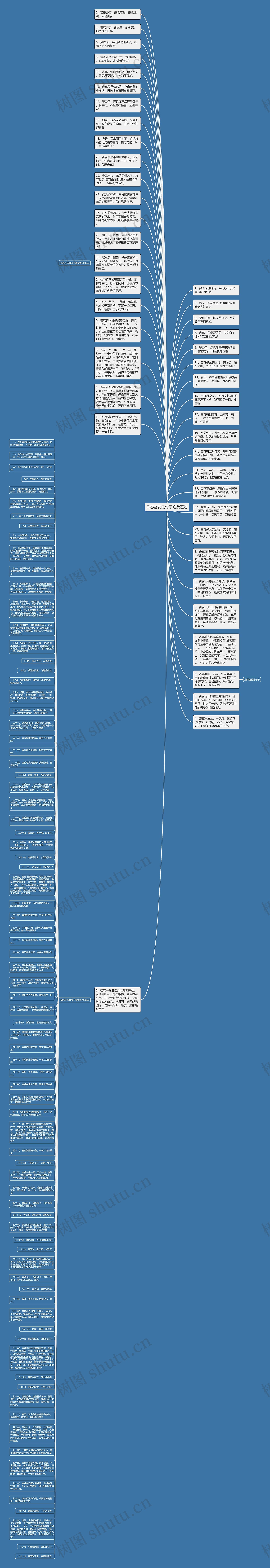 形容杏花的句子唯美短句思维导图