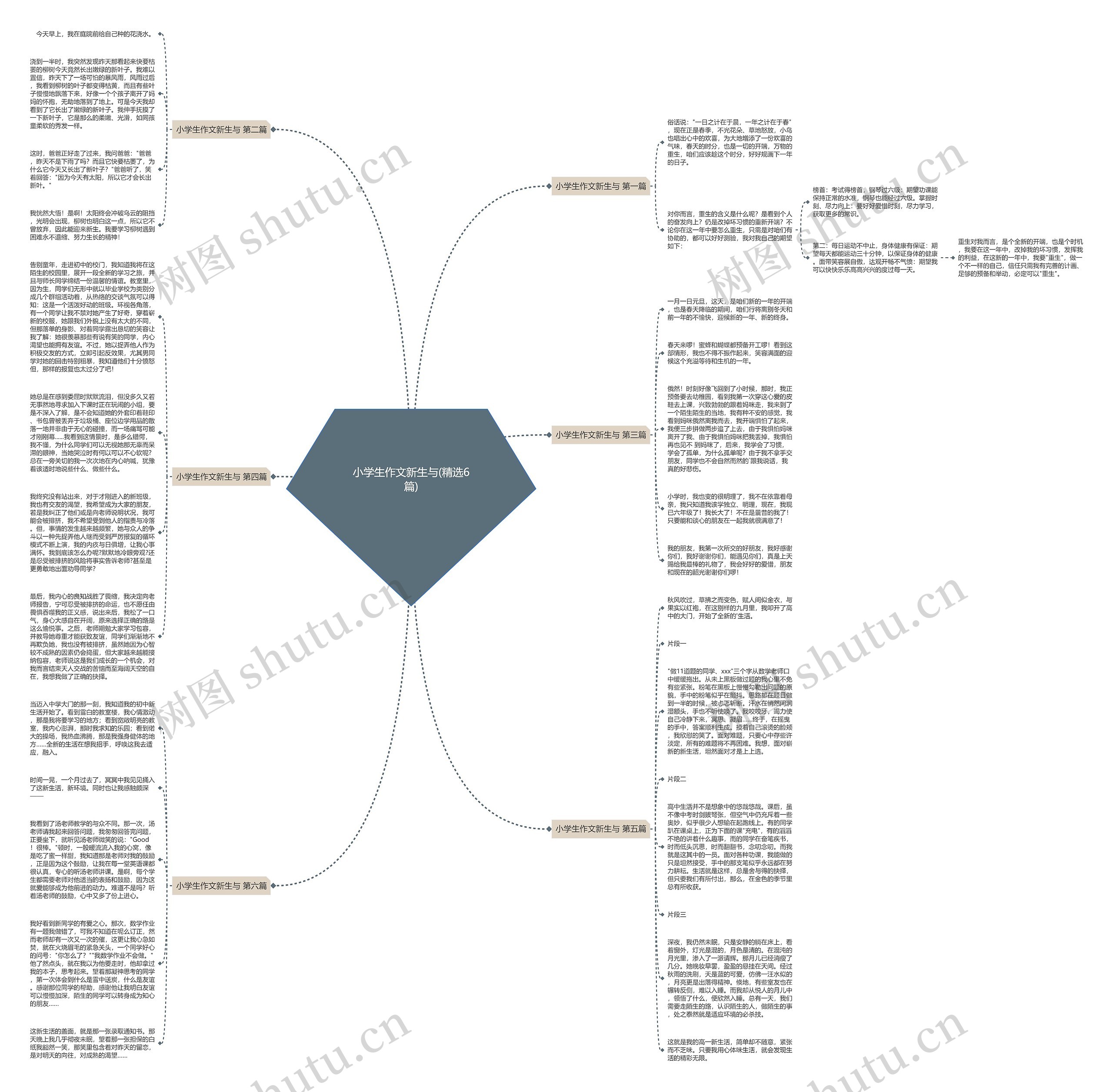 小学生作文新生与(精选6篇)思维导图