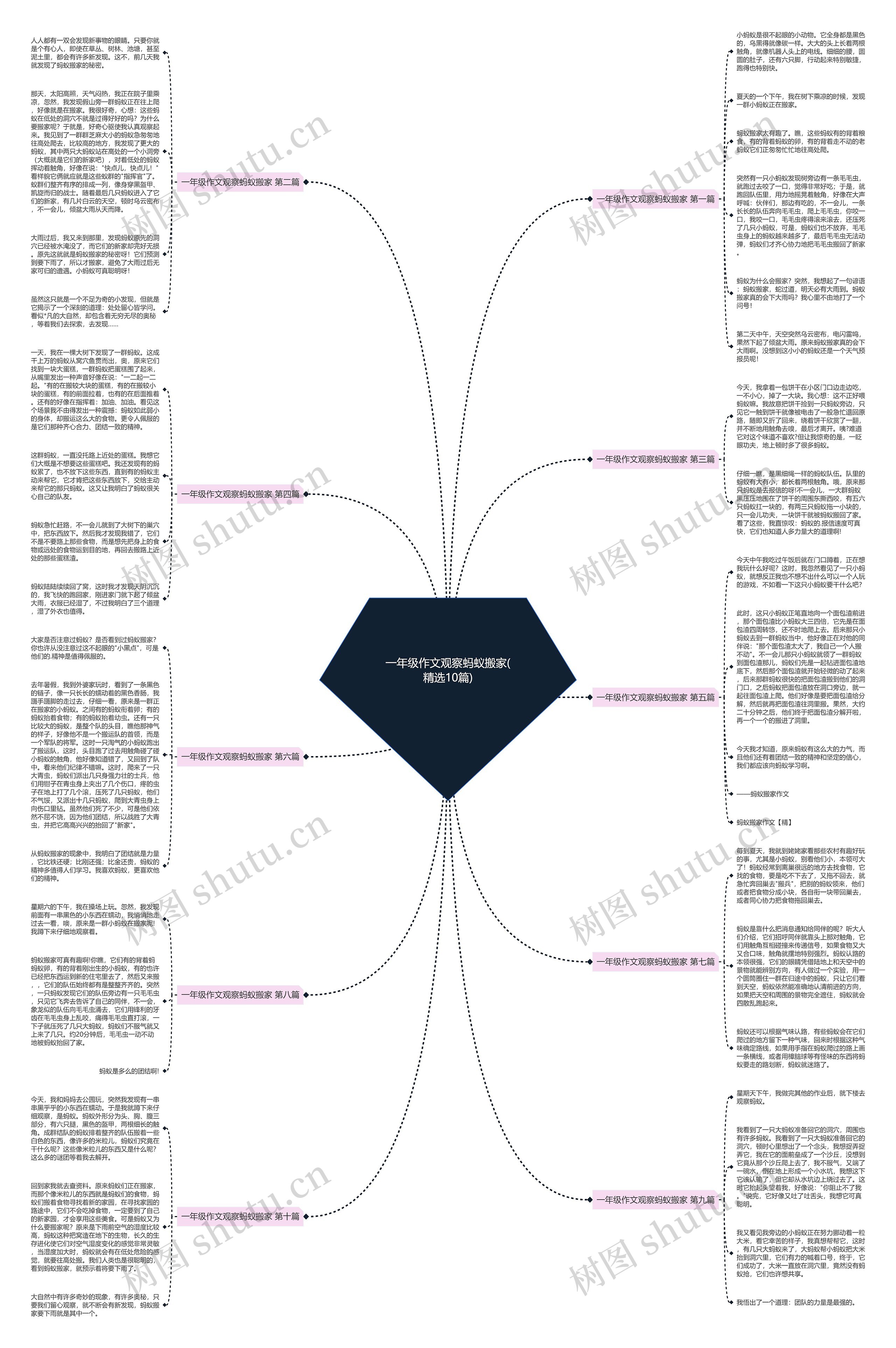 一年级作文观察蚂蚁搬家(精选10篇)思维导图