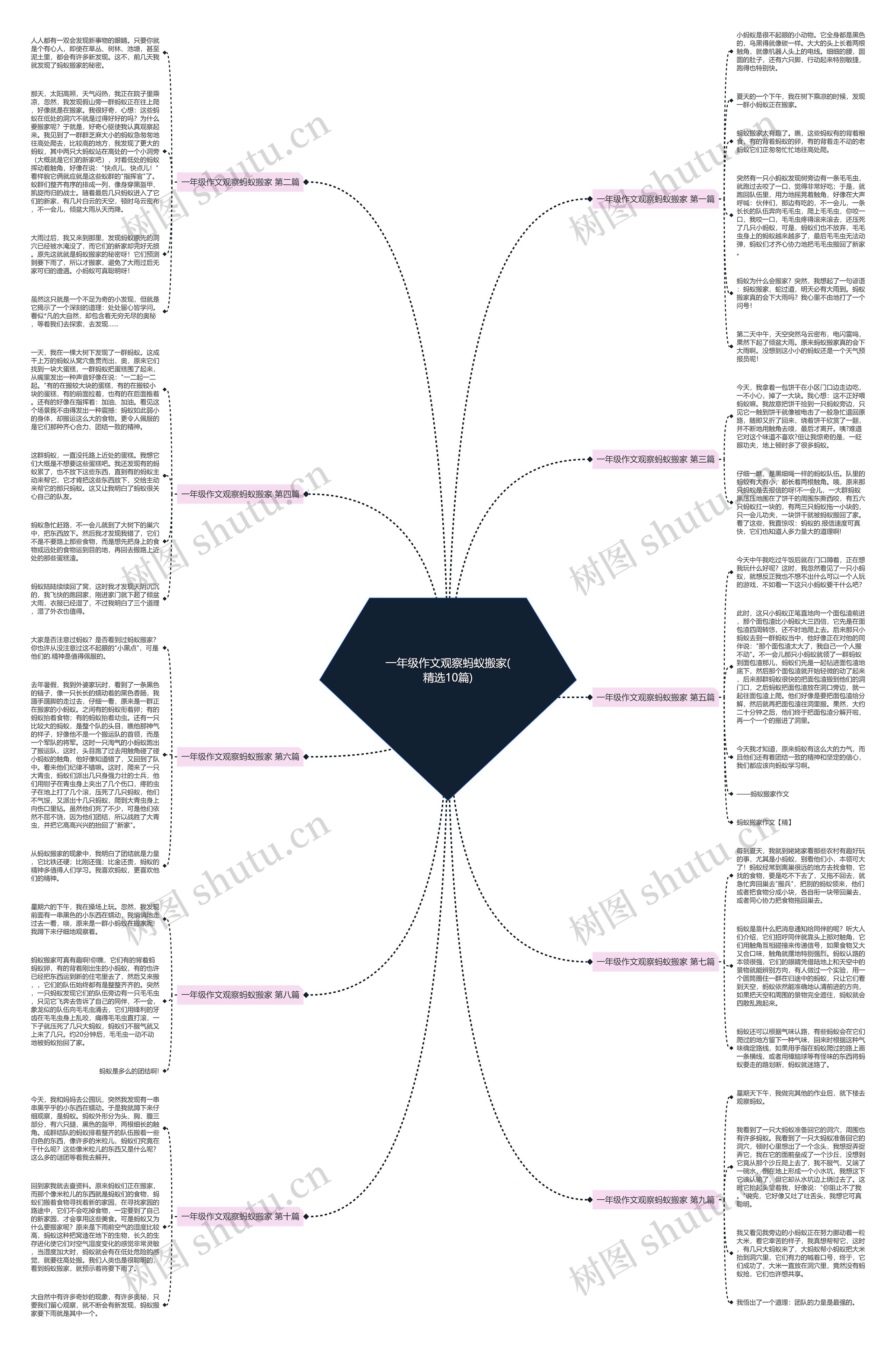 一年级作文观察蚂蚁搬家(精选10篇) 一年级作文观察蚂蚁搬家(精选10篇)