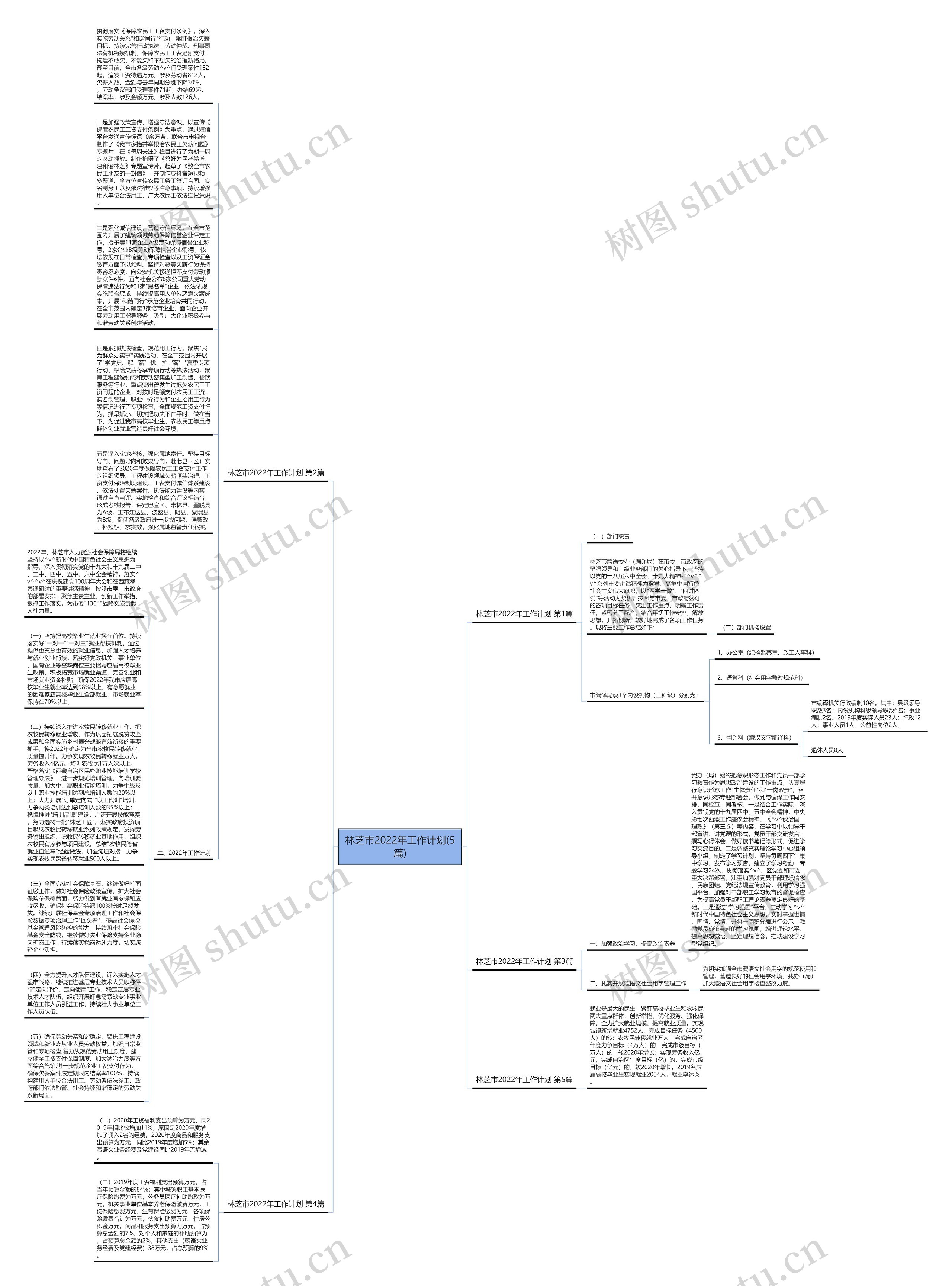 林芝市2022年工作计划(5篇)思维导图