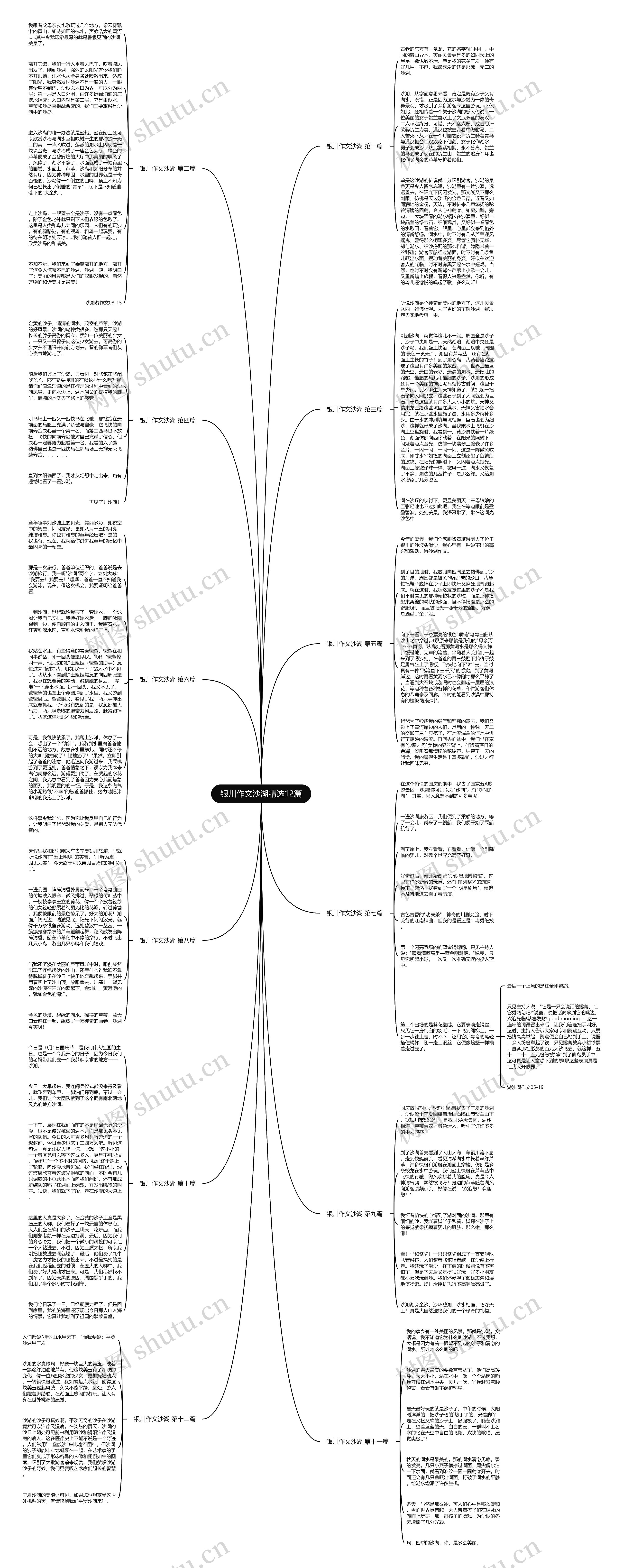 银川作文沙湖精选12篇思维导图