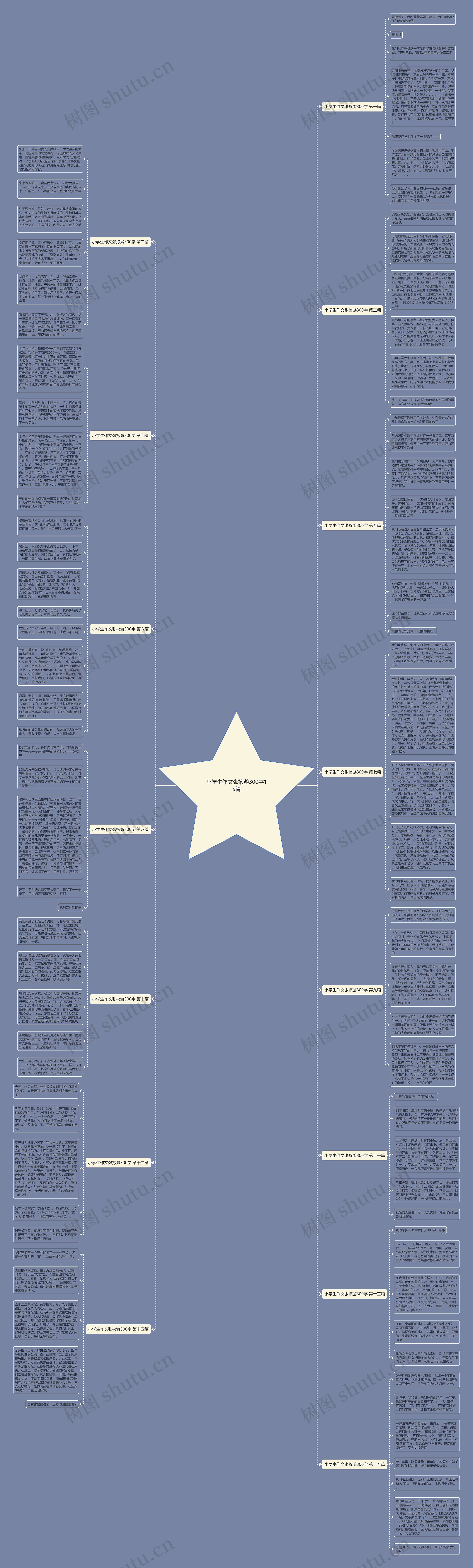 小学生作文张掖游300字15篇思维导图