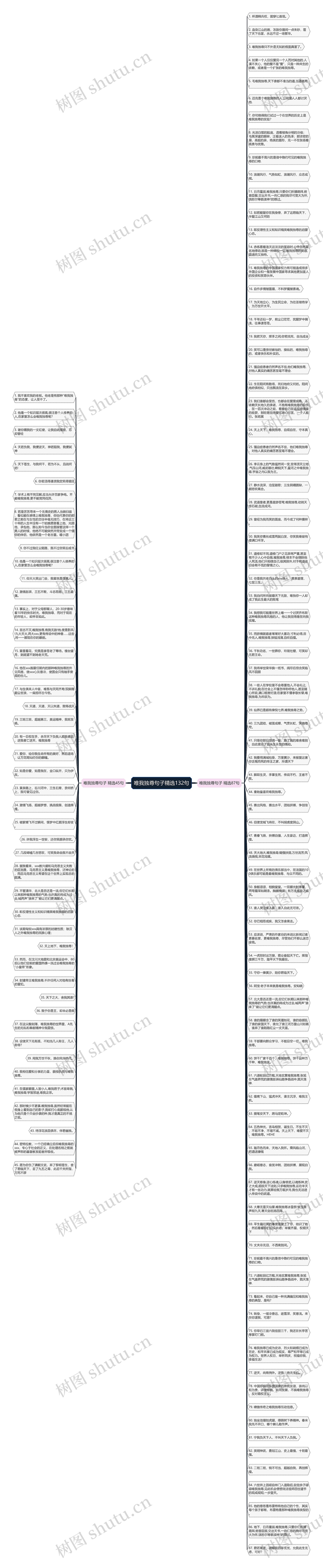 唯我独尊句子精选132句思维导图