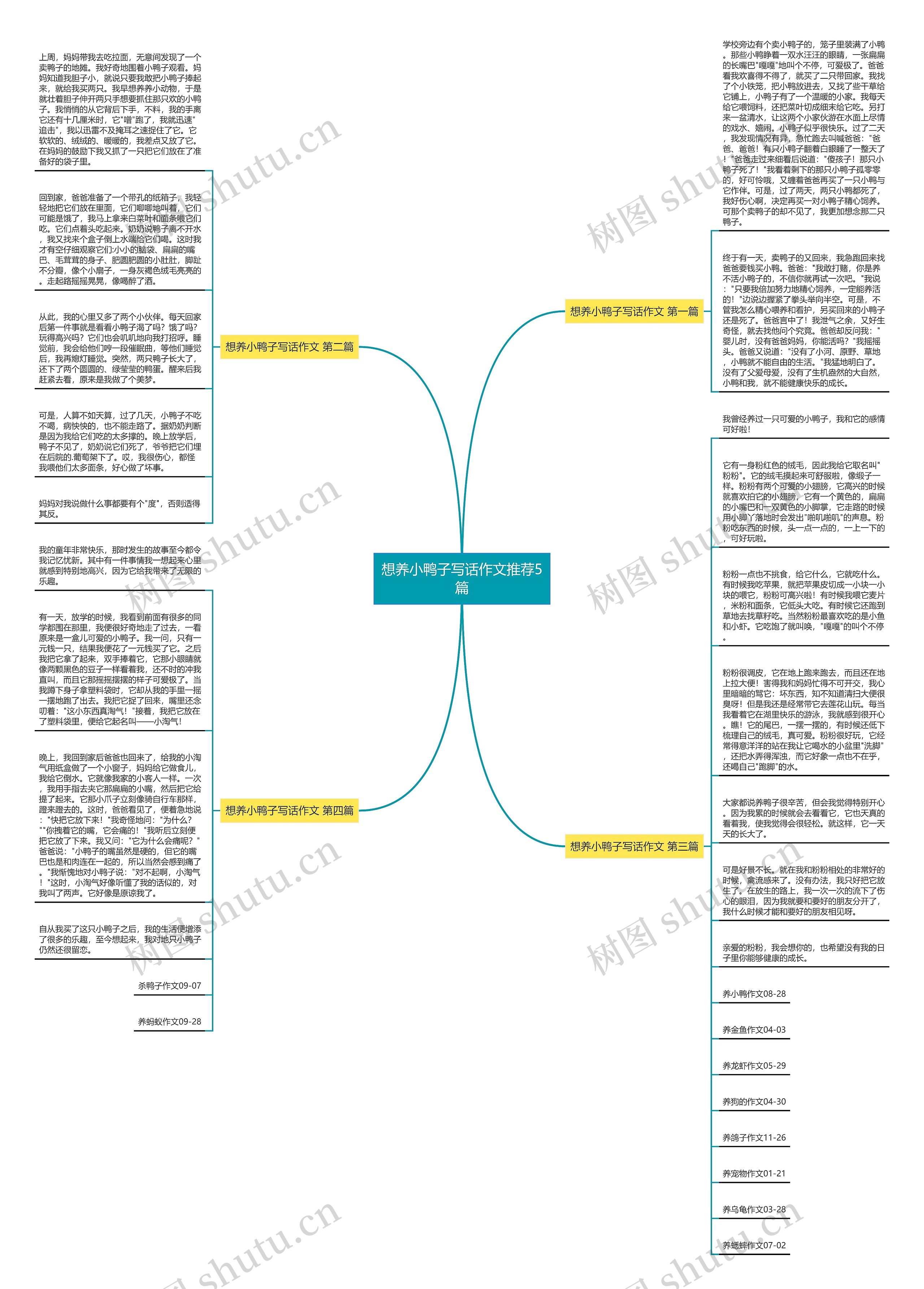 想养小鸭子写话作文推荐5篇思维导图