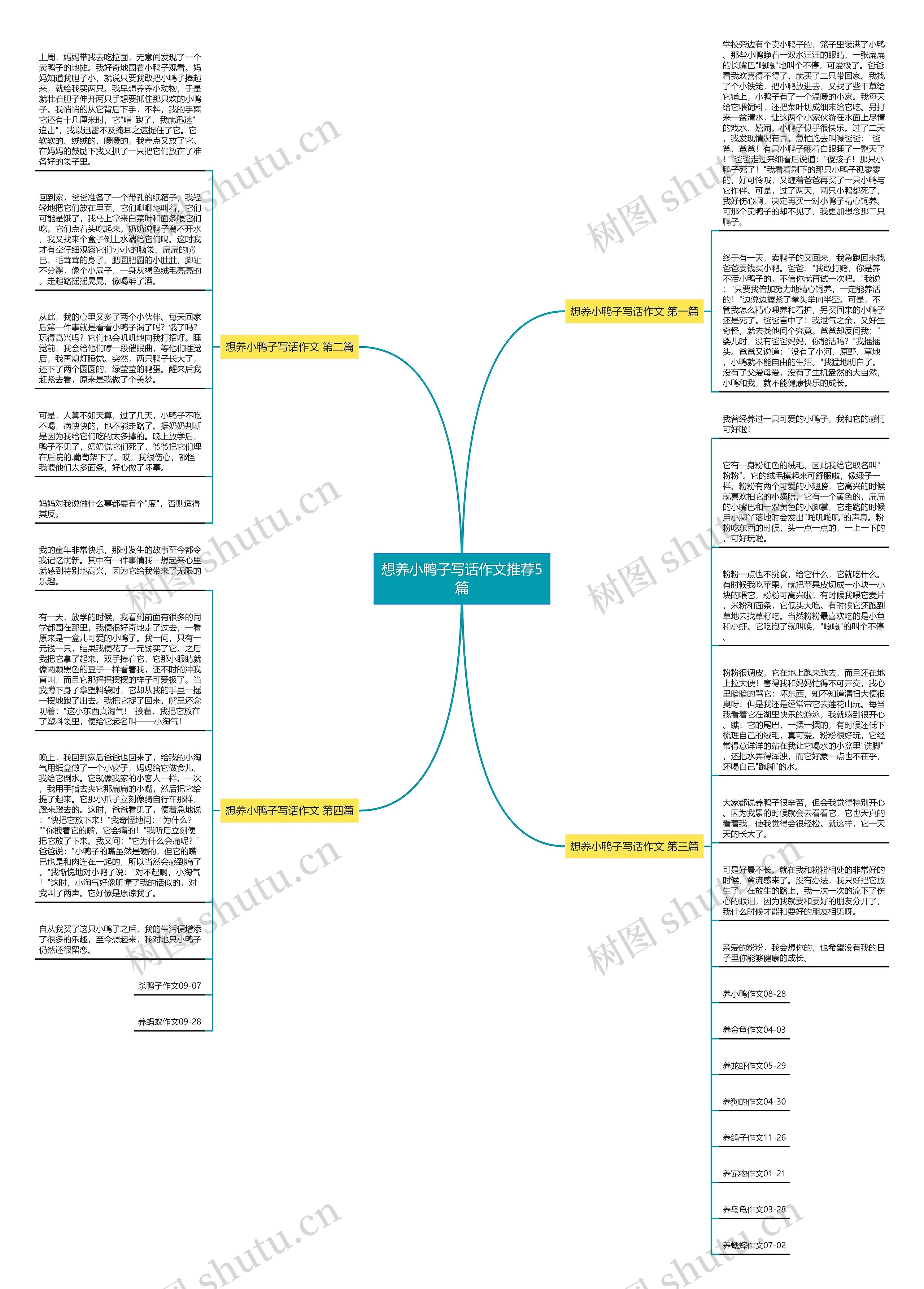 想养小鸭子写话作文推荐5篇思维导图高清图 想养小鸭子写话作文推荐5篇思维导图