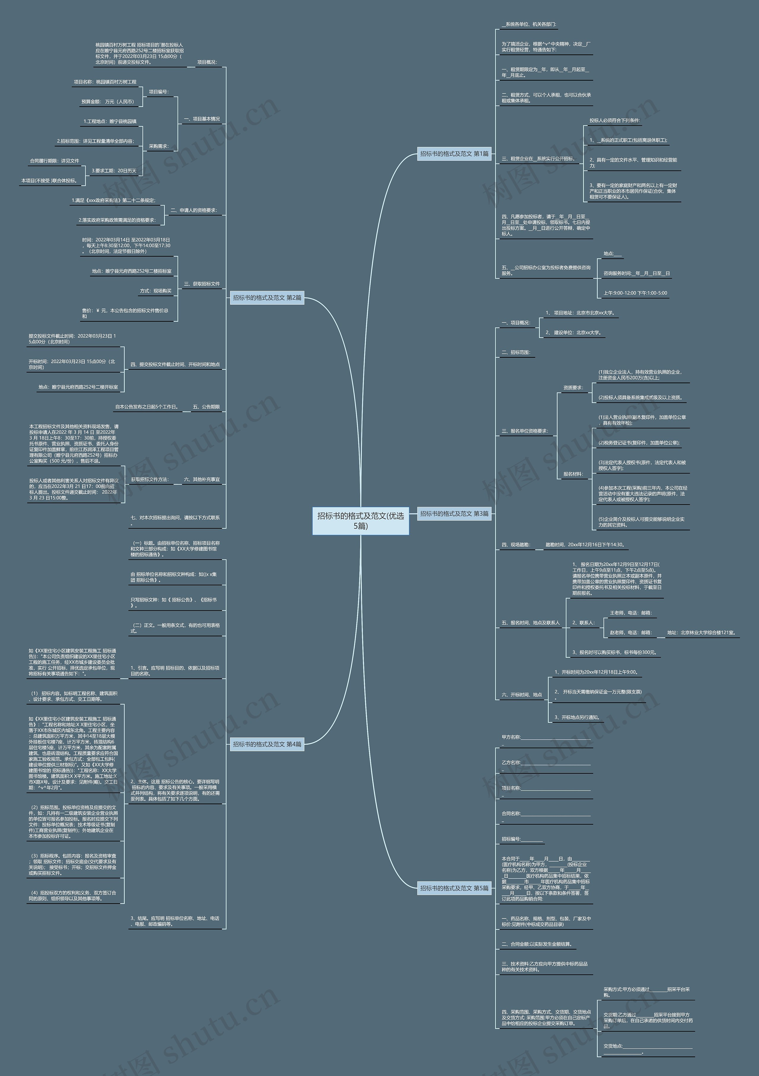 招标书的格式及范文(优选5篇)思维导图