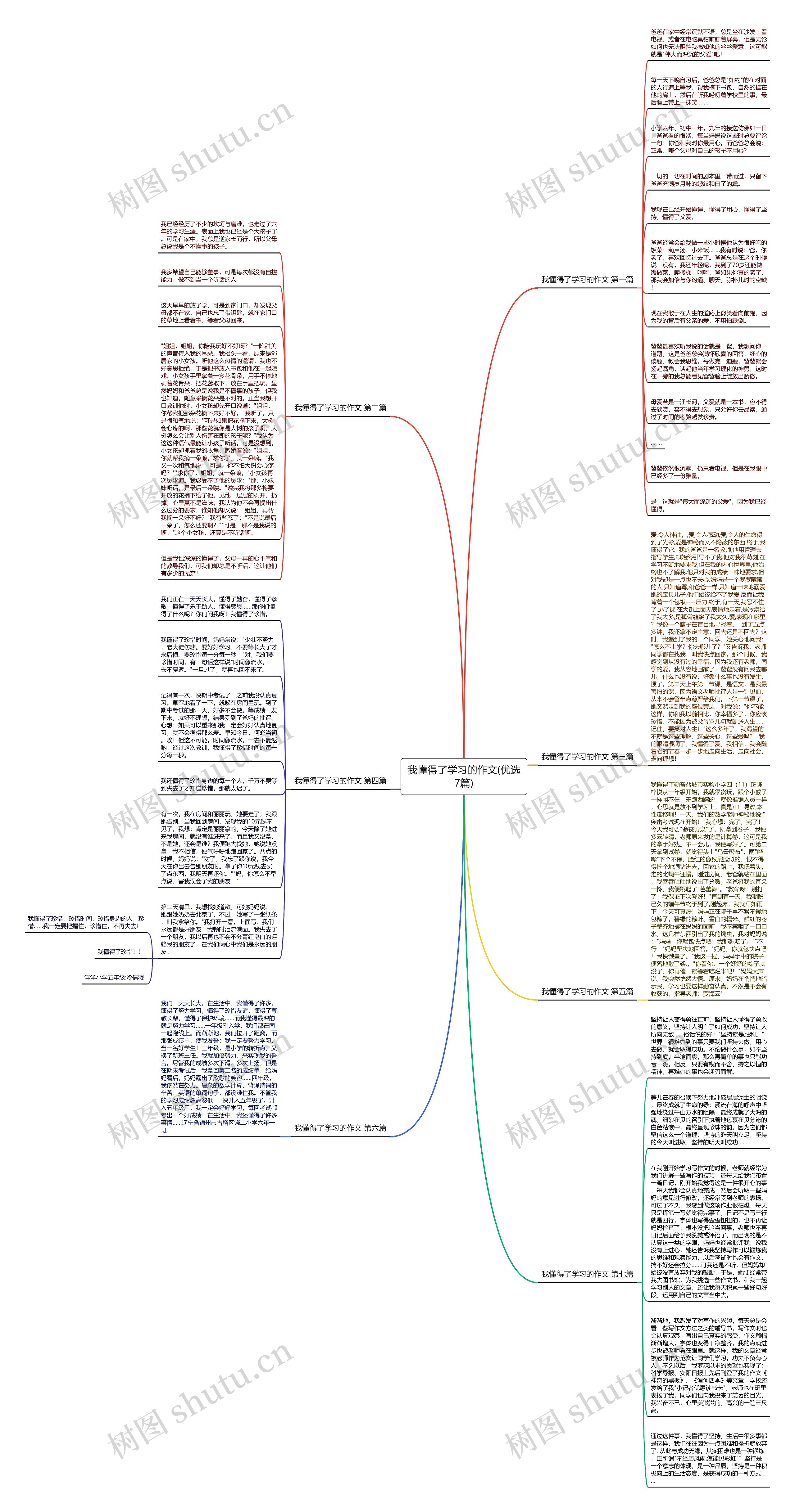我懂得了学习的作文(优选7篇)思维导图