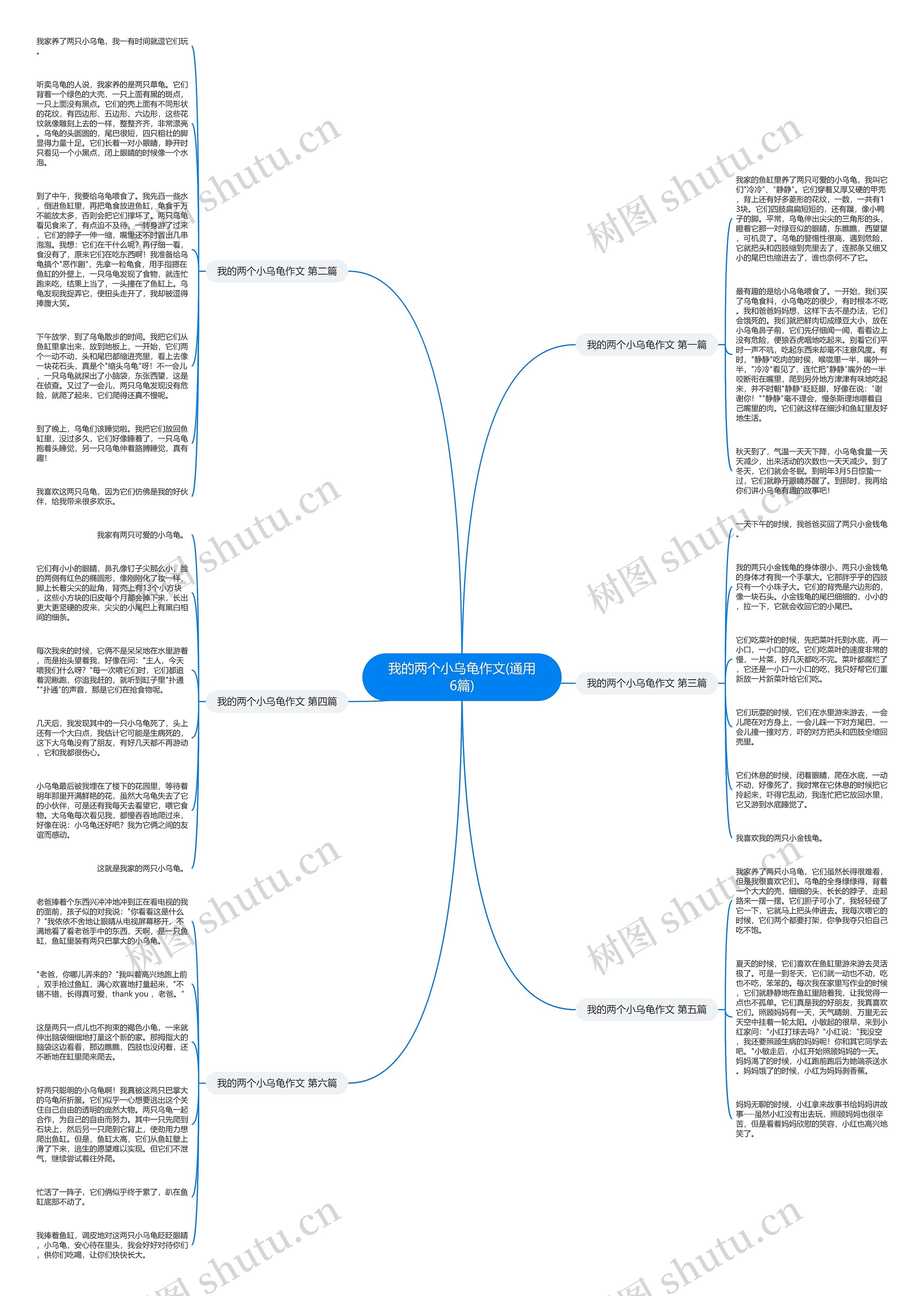 我的两个小乌龟作文(通用6篇)思维导图