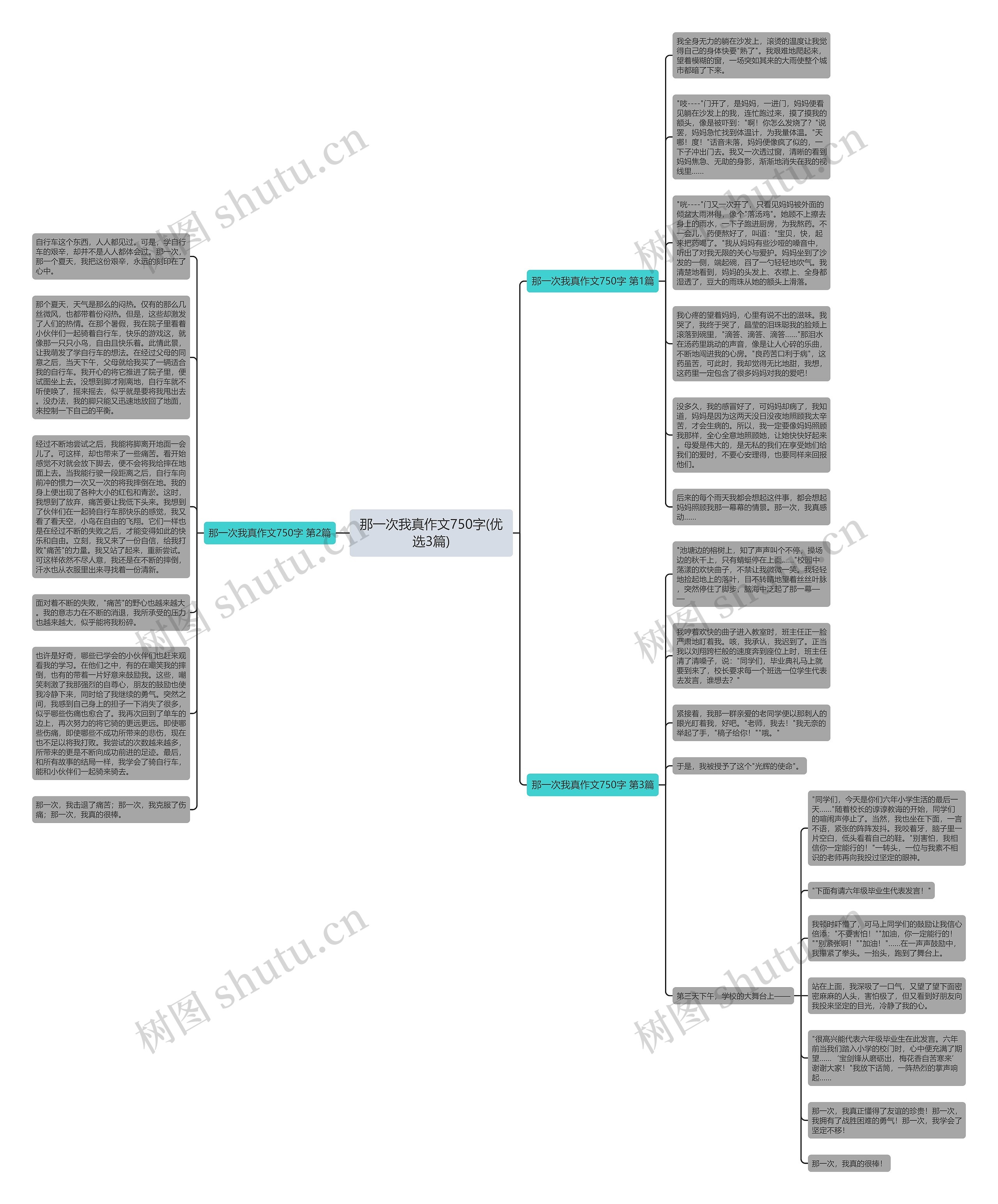 那一次我真作文750字(优选3篇)思维导图