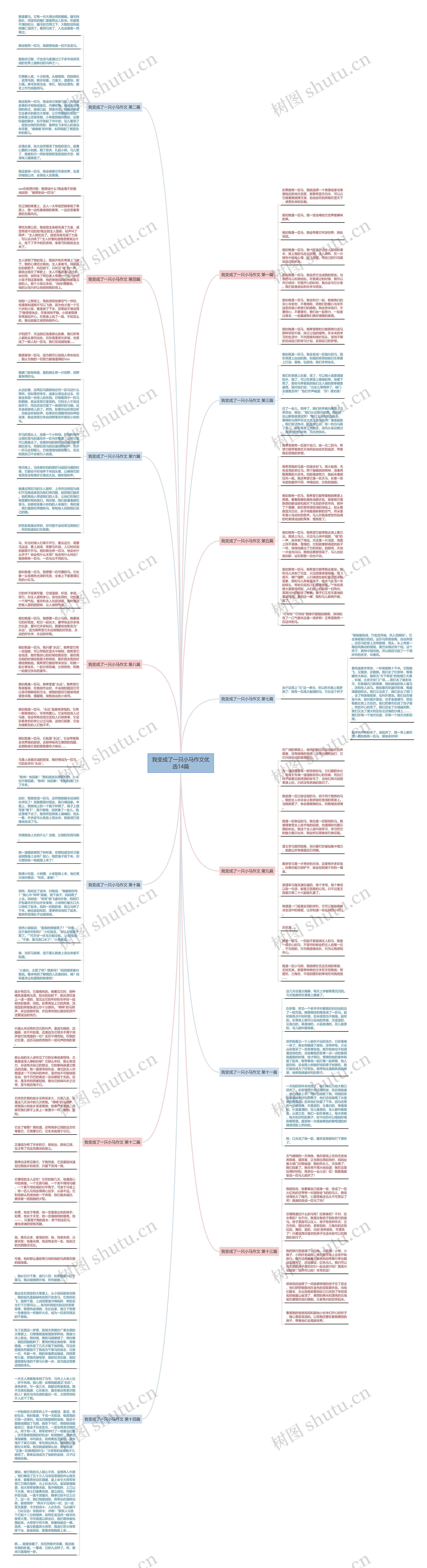 我变成了一只小马作文优选14篇思维导图
