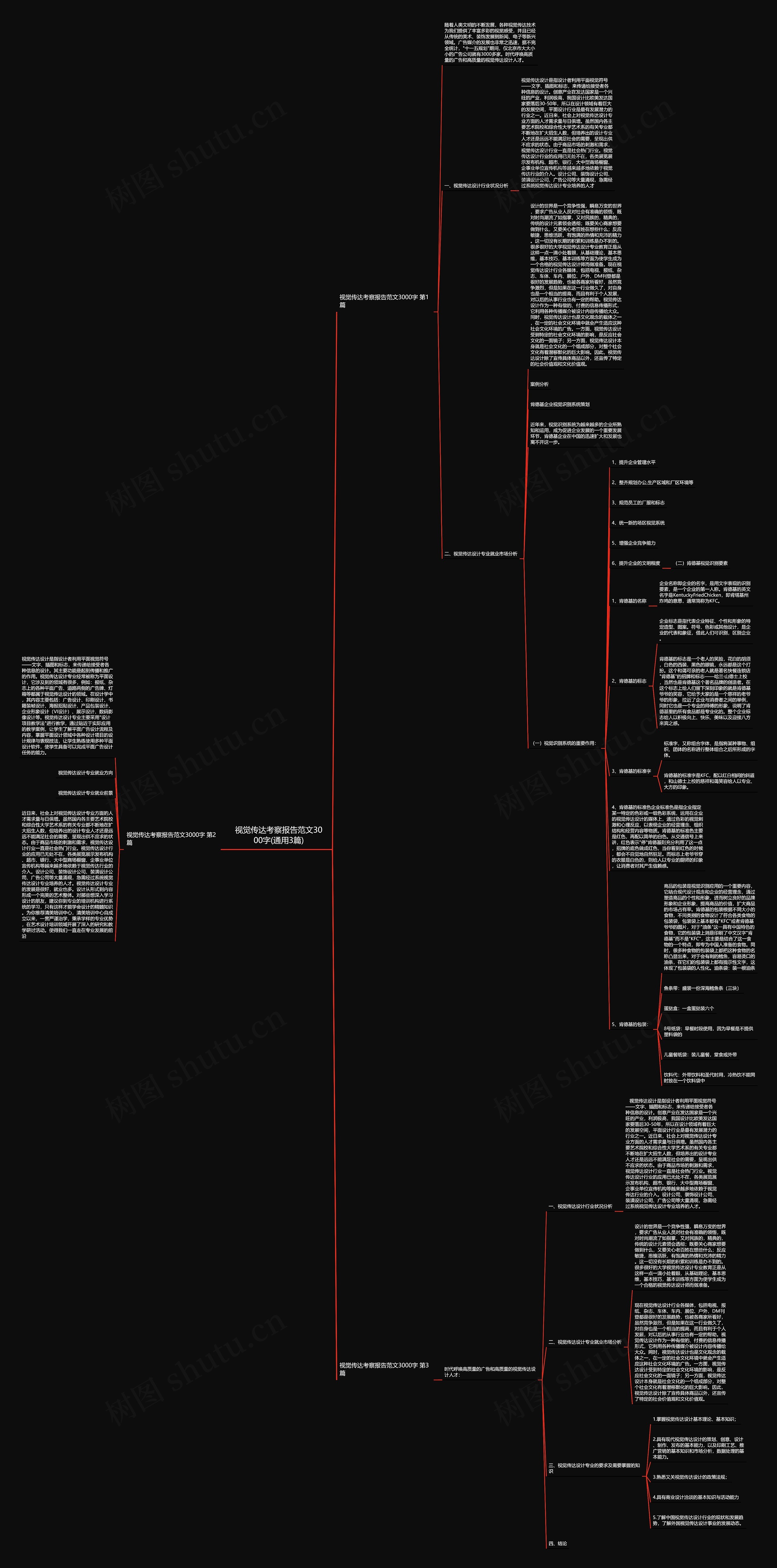 视觉传达考察报告范文3000字(通用3篇)思维导图