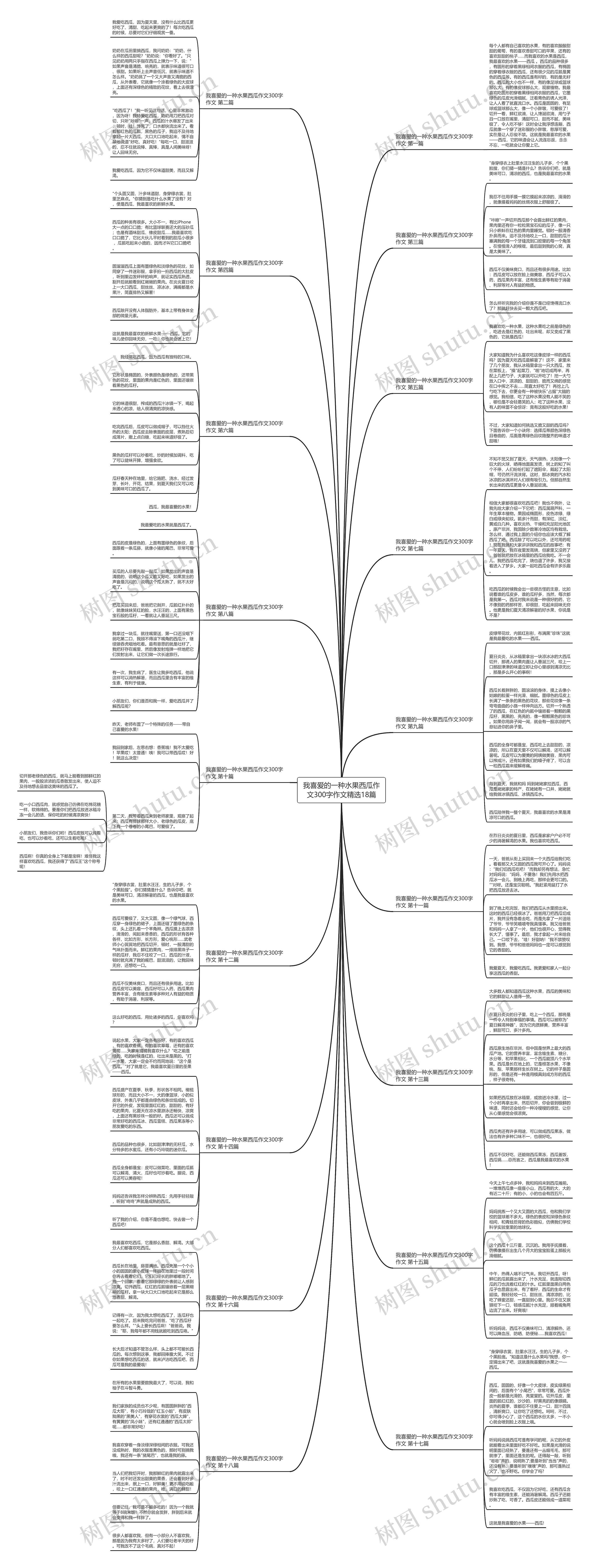 我喜爱的一种水果西瓜作文300字作文精选18篇思维导图