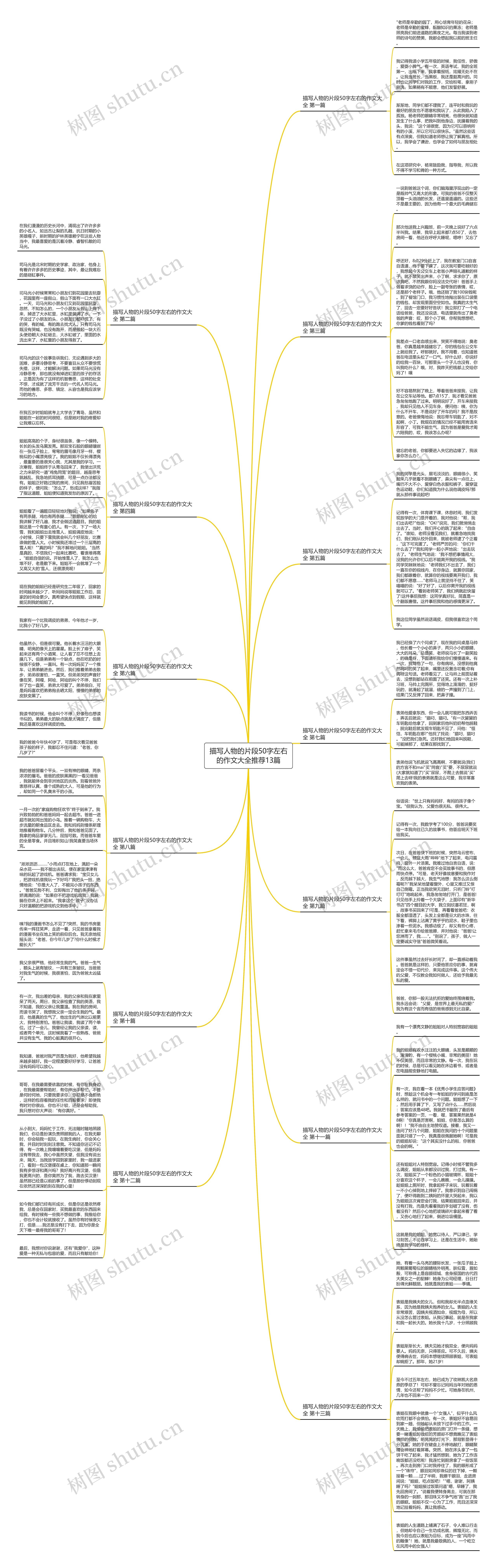 描写人物的片段50字左右的作文大全推荐13篇思维导图