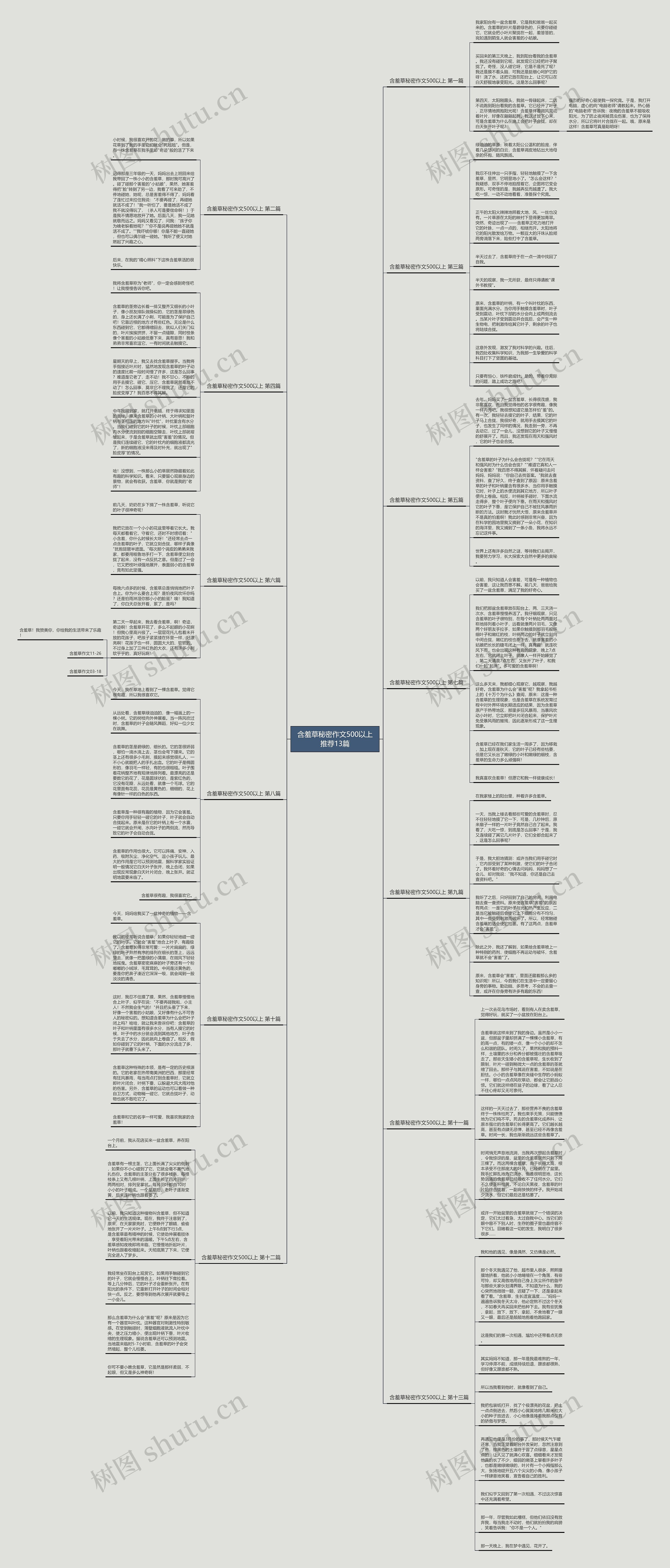 含羞草秘密作文500以上推荐13篇思维导图