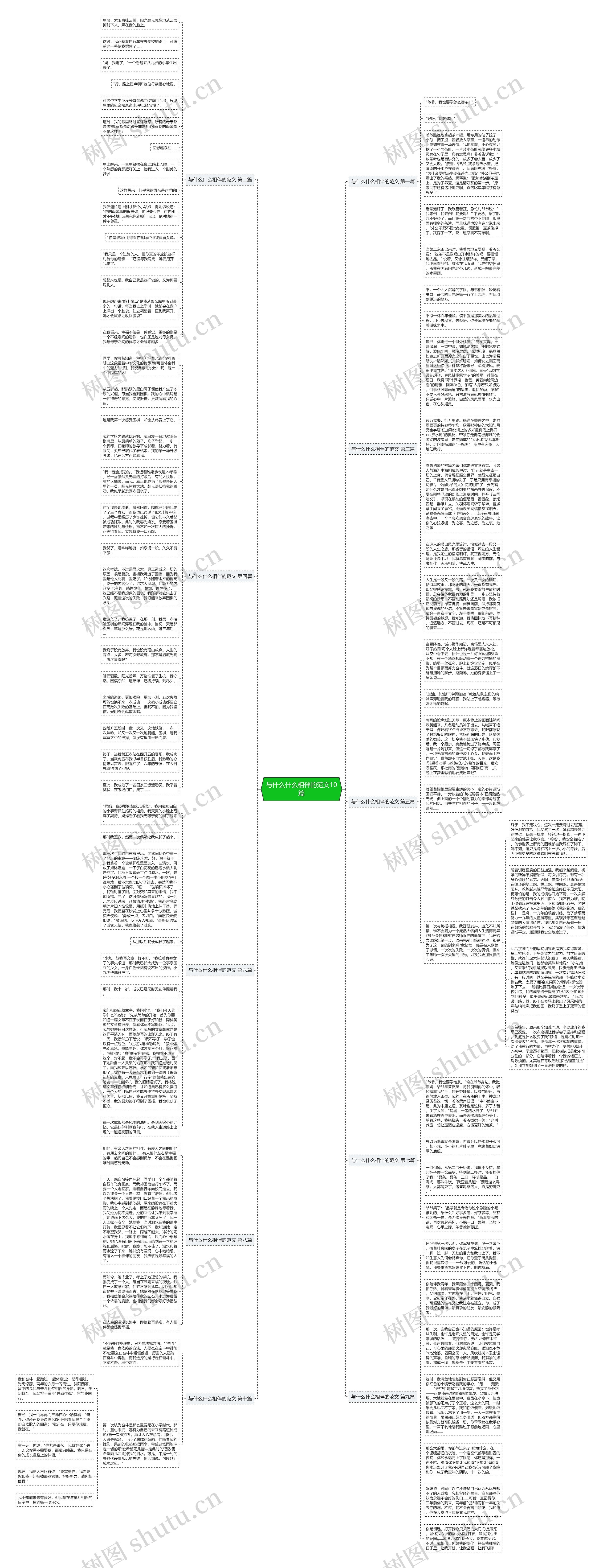 与什么什么相伴的范文10篇思维导图