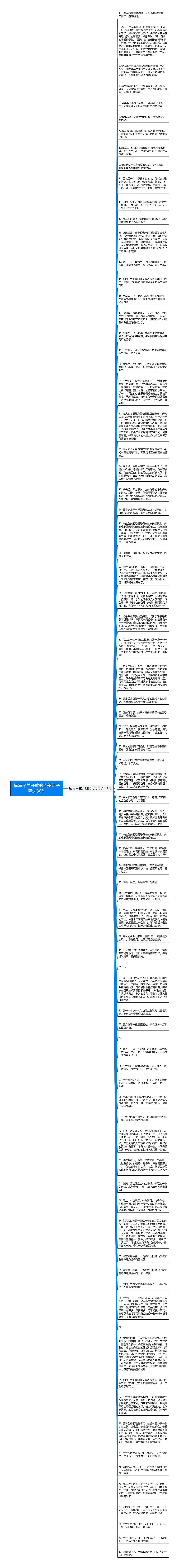 描写吊兰开放的优美句子精选80句