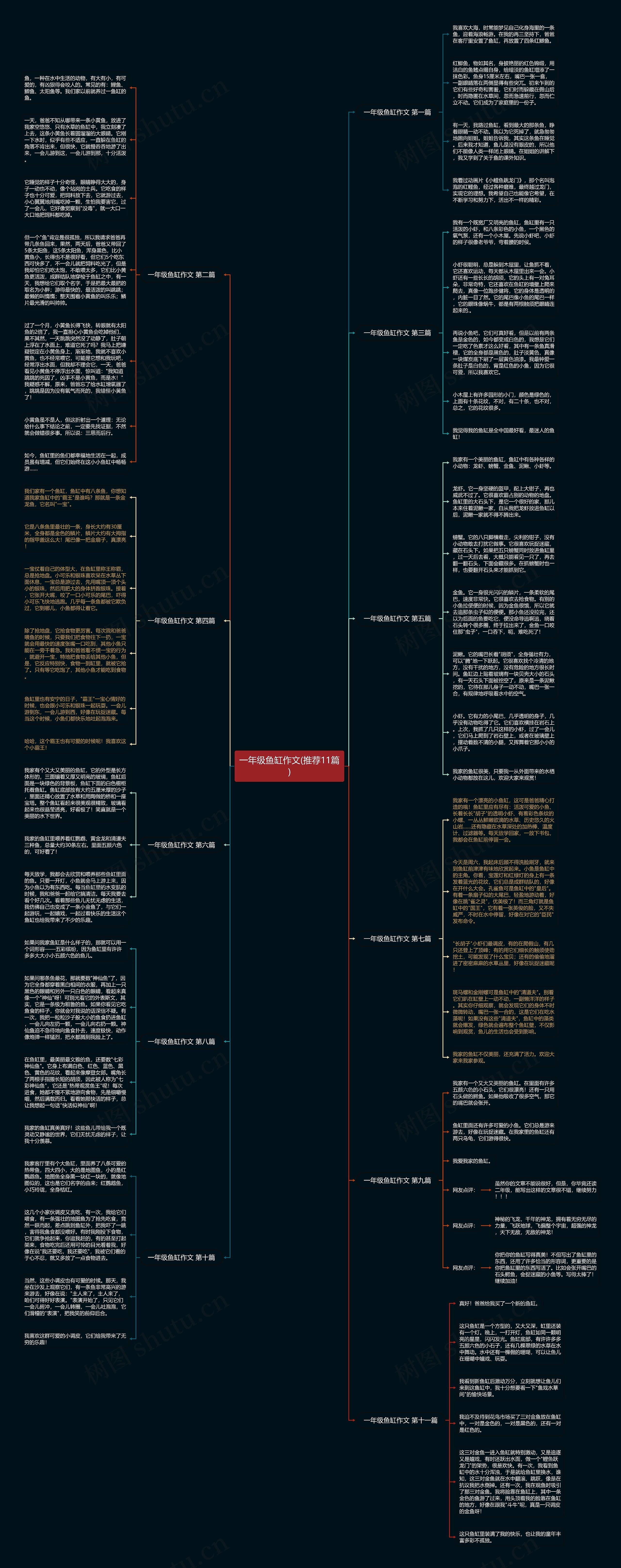 一年级鱼缸作文(推荐11篇)思维导图