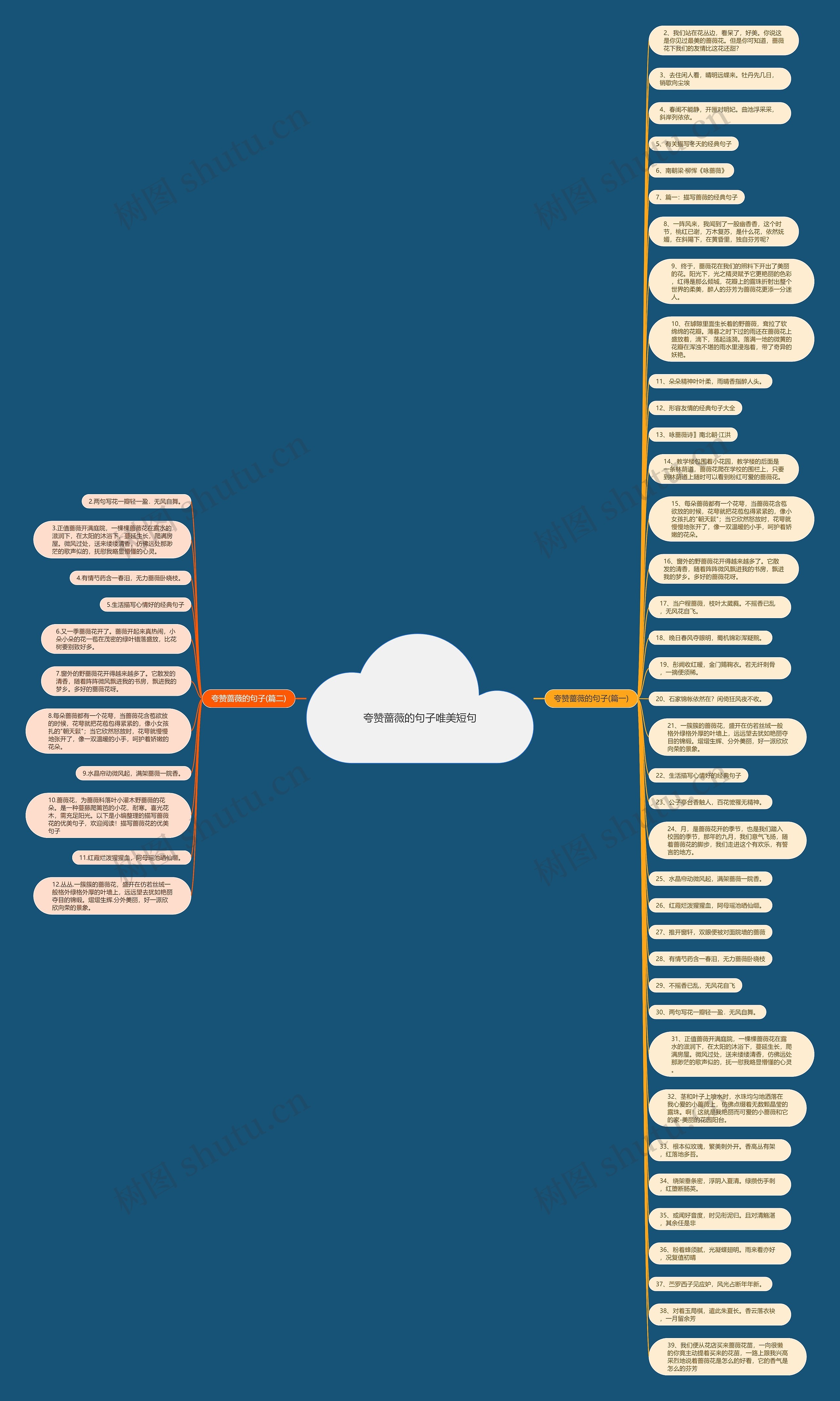 夸赞蔷薇的句子唯美短句思维导图