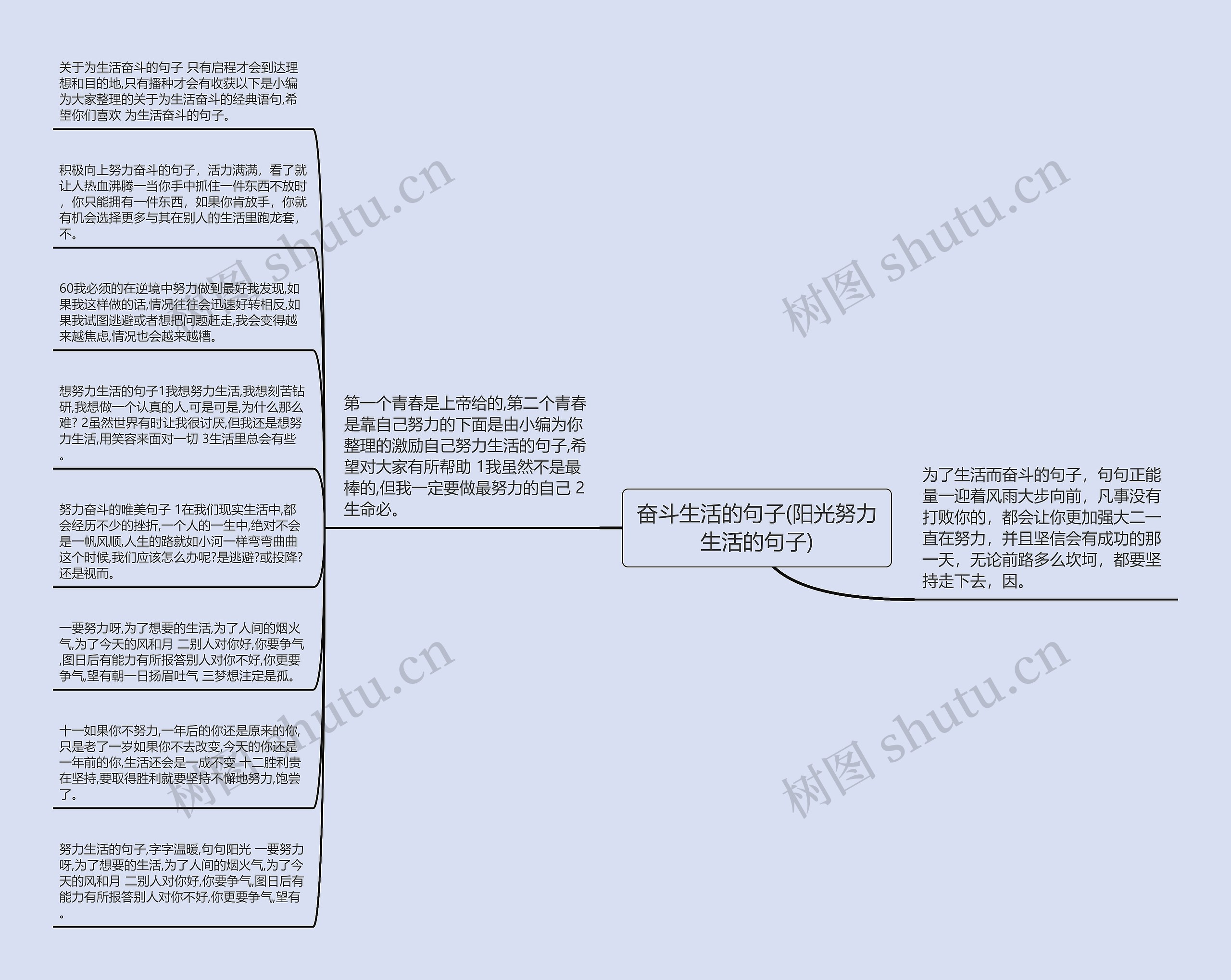 奋斗生活的句子(阳光努力生活的句子)