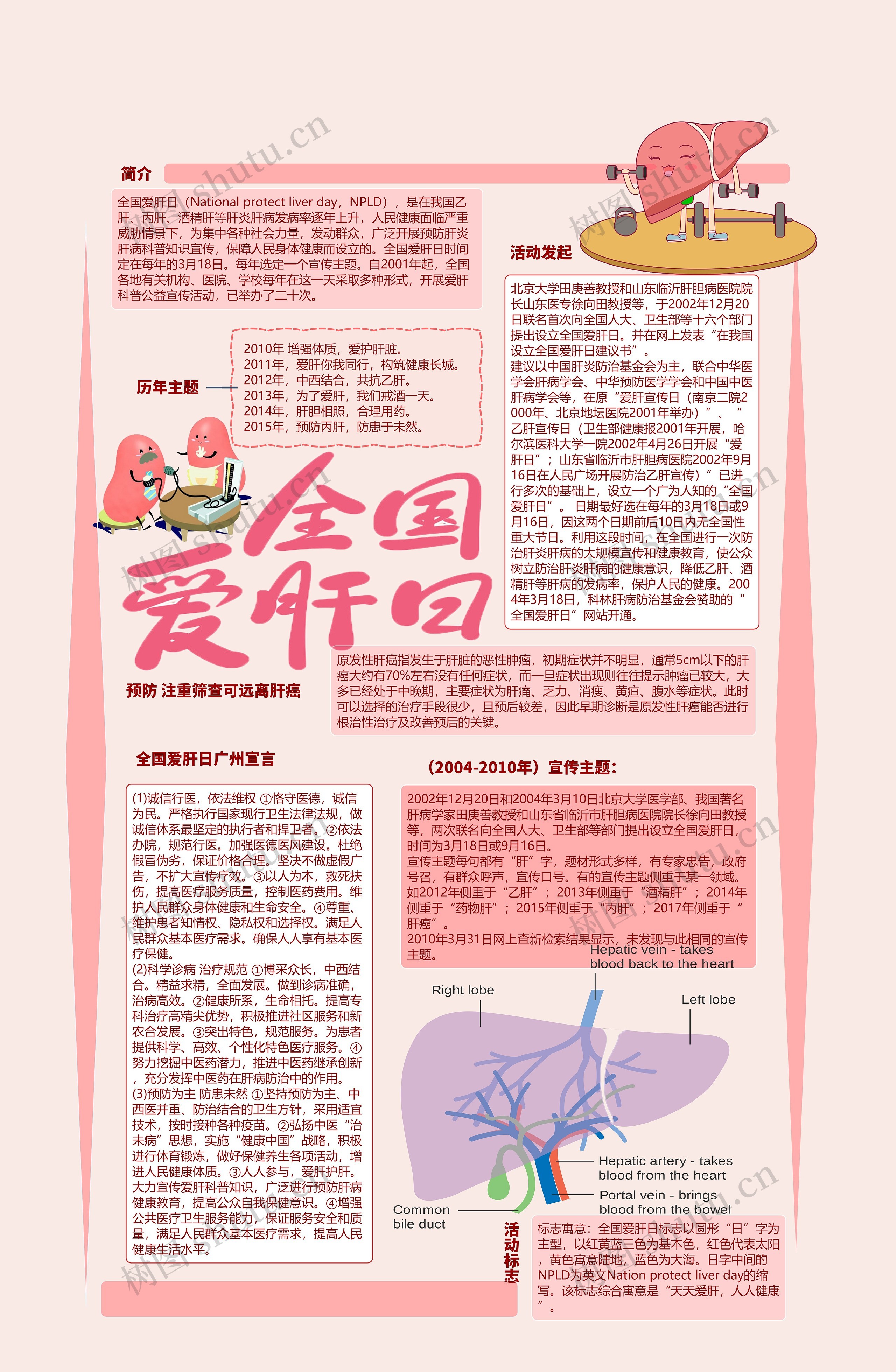 全国爱肝日