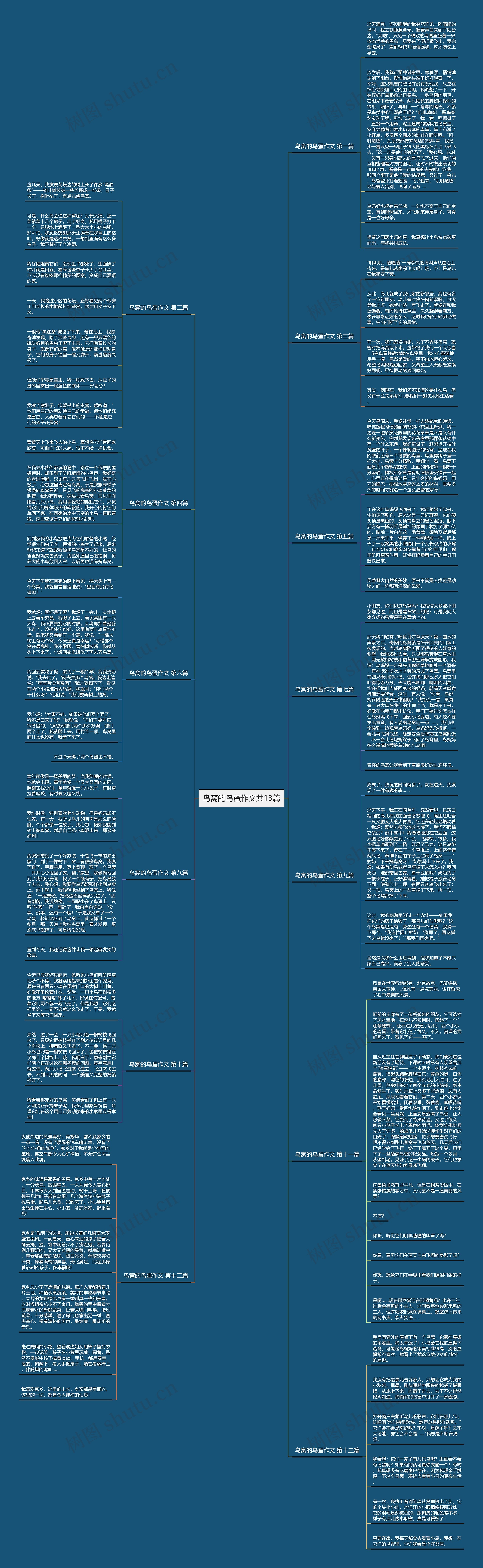 鸟窝的鸟蛋作文共13篇思维导图