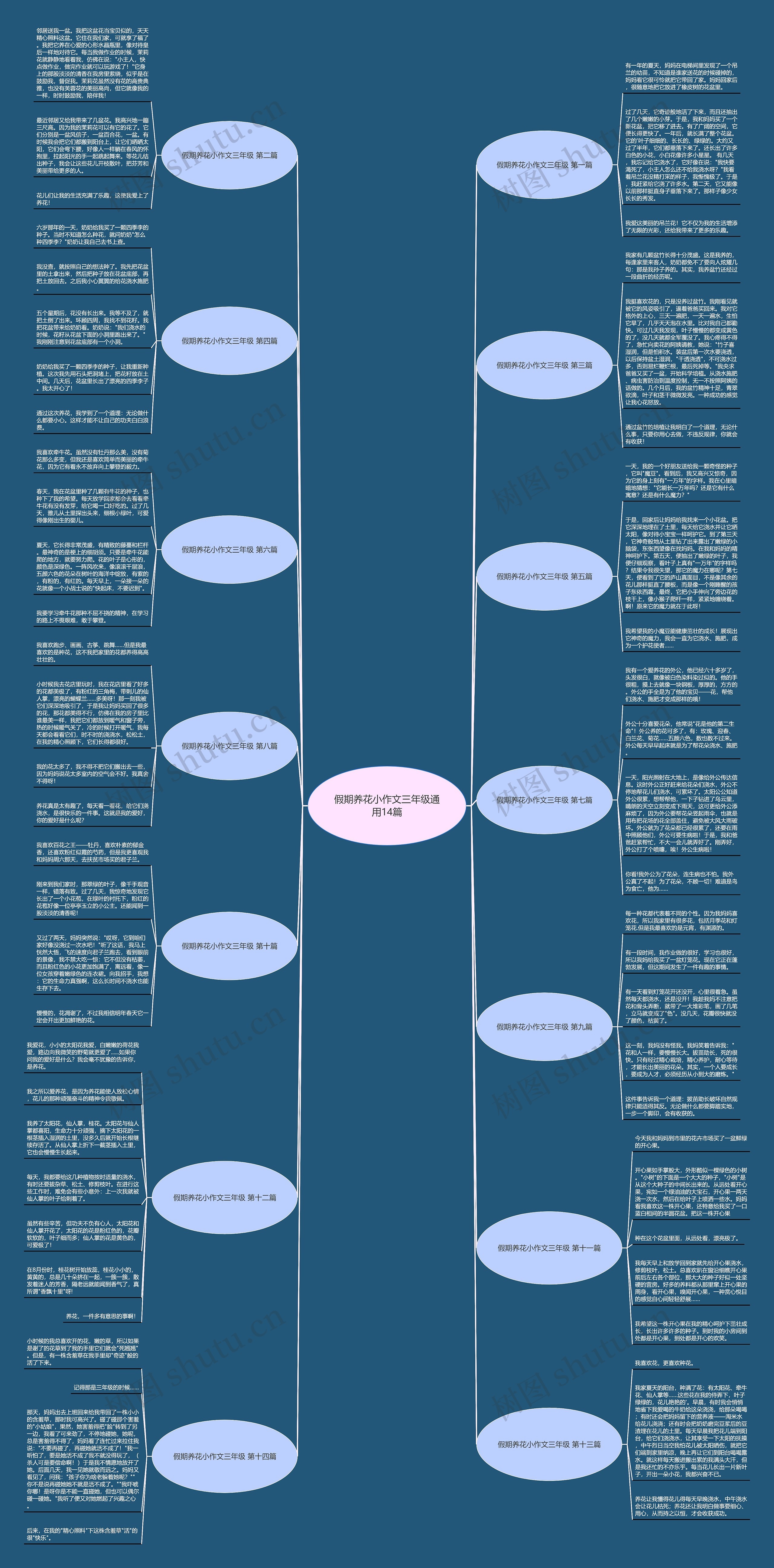 假期养花小作文三年级通用14篇 假期养花小作文三年级通用14篇