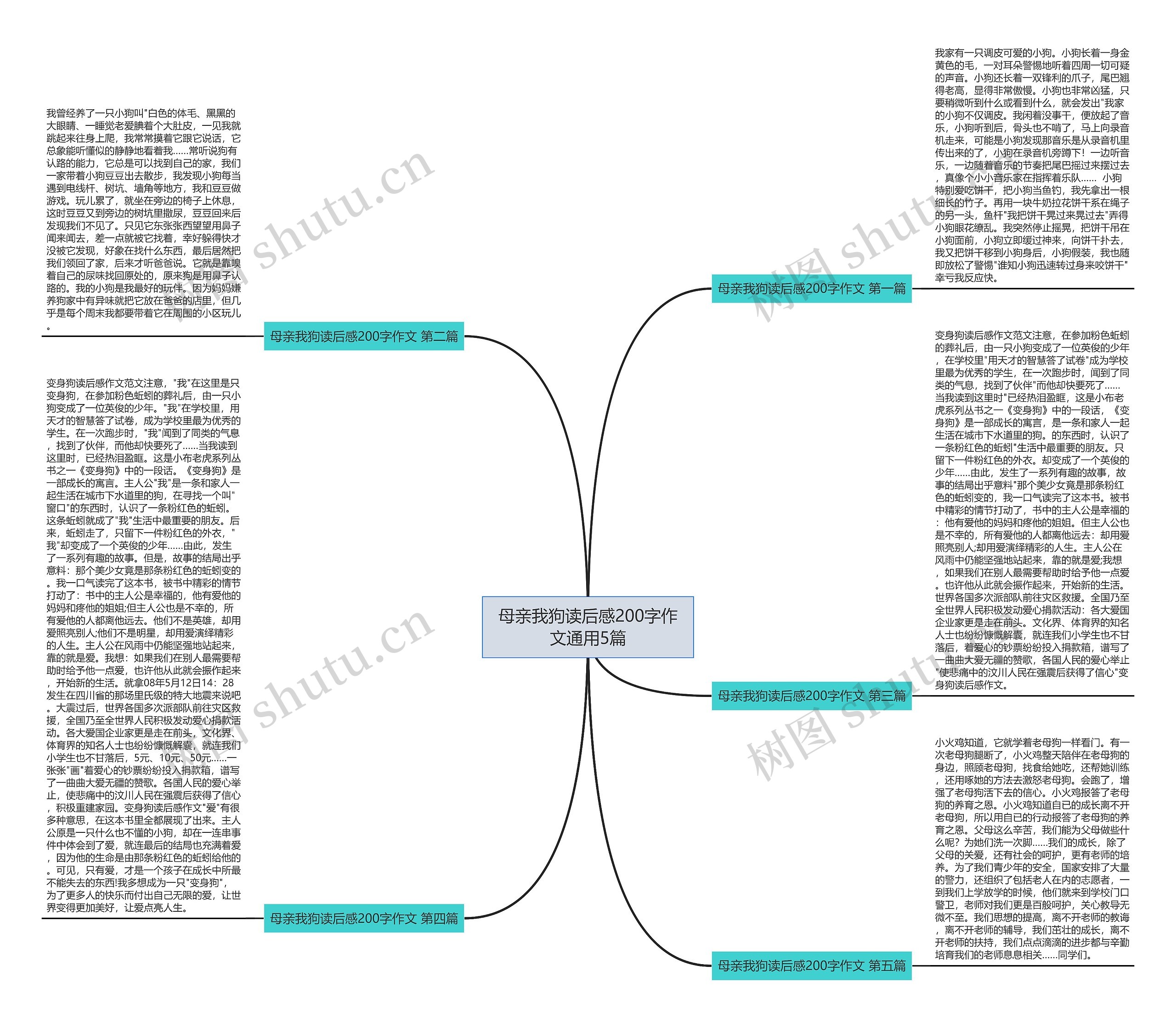 母亲我狗读后感200字作文通用5篇思维导图