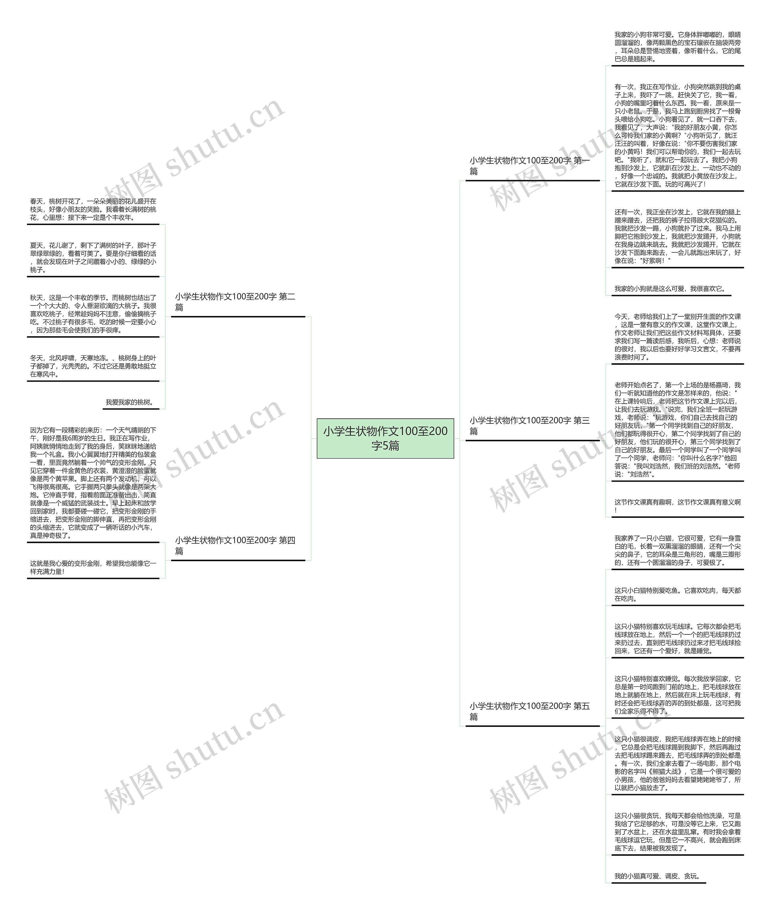 小学生状物作文100至200字5篇思维导图